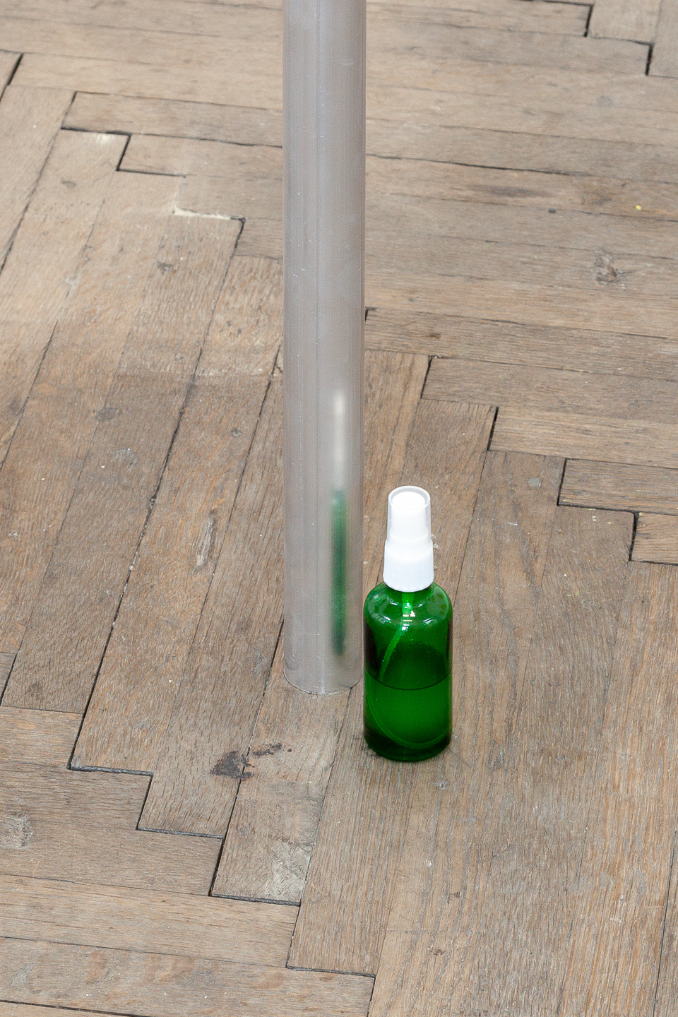 Installation view, Daniela Grabosch - WE ARE ALL ENTANGLED HYBRID ORGANISMS HERE., new jörg, 2023