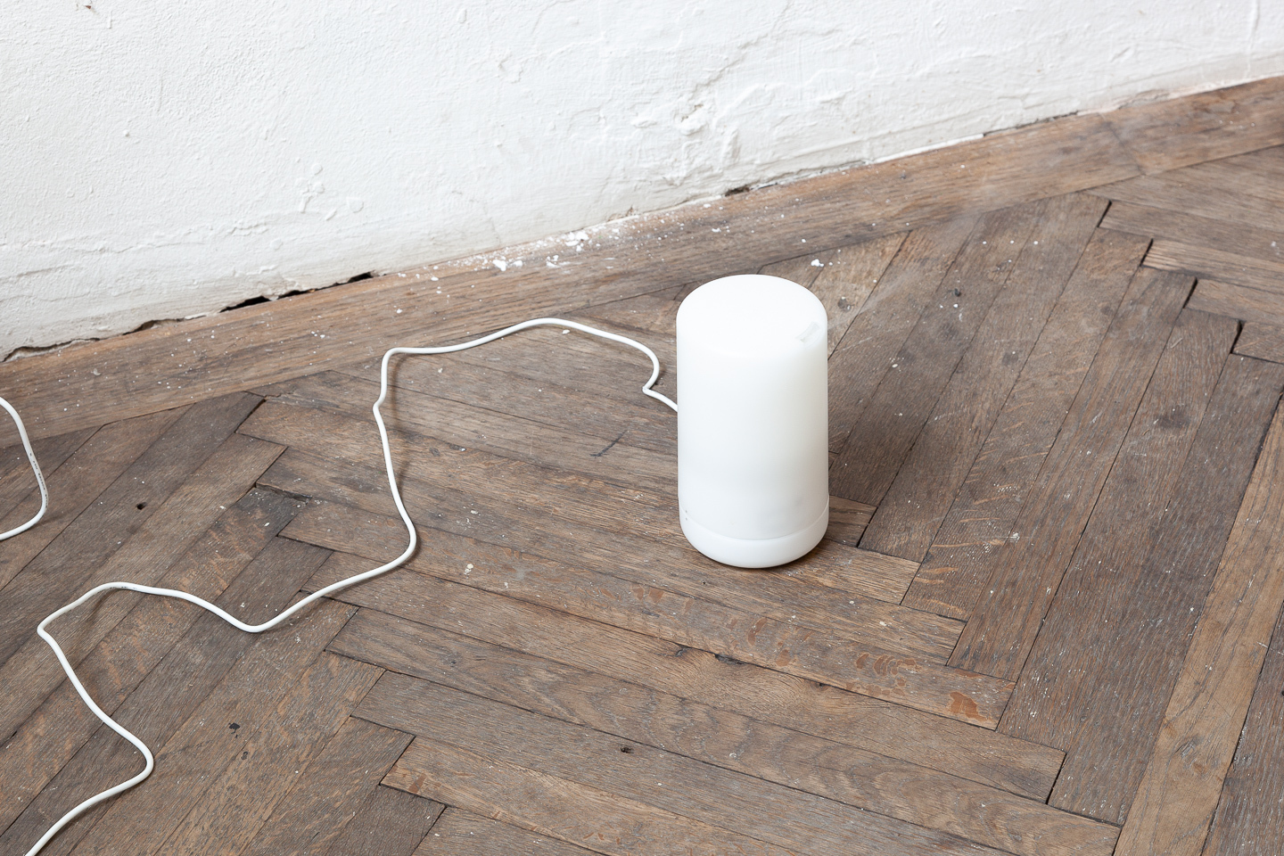 Installation view, Daniela Grabosch - WE ARE ALL ENTANGLED HYBRID ORGANISMS HERE., new jörg, 2023