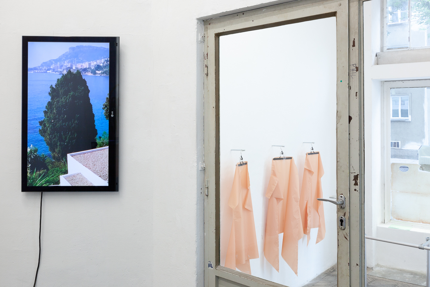 Installation view, Daniela Grabosch - WE ARE ALL ENTANGLED HYBRID ORGANISMS HERE., new jörg, 2023