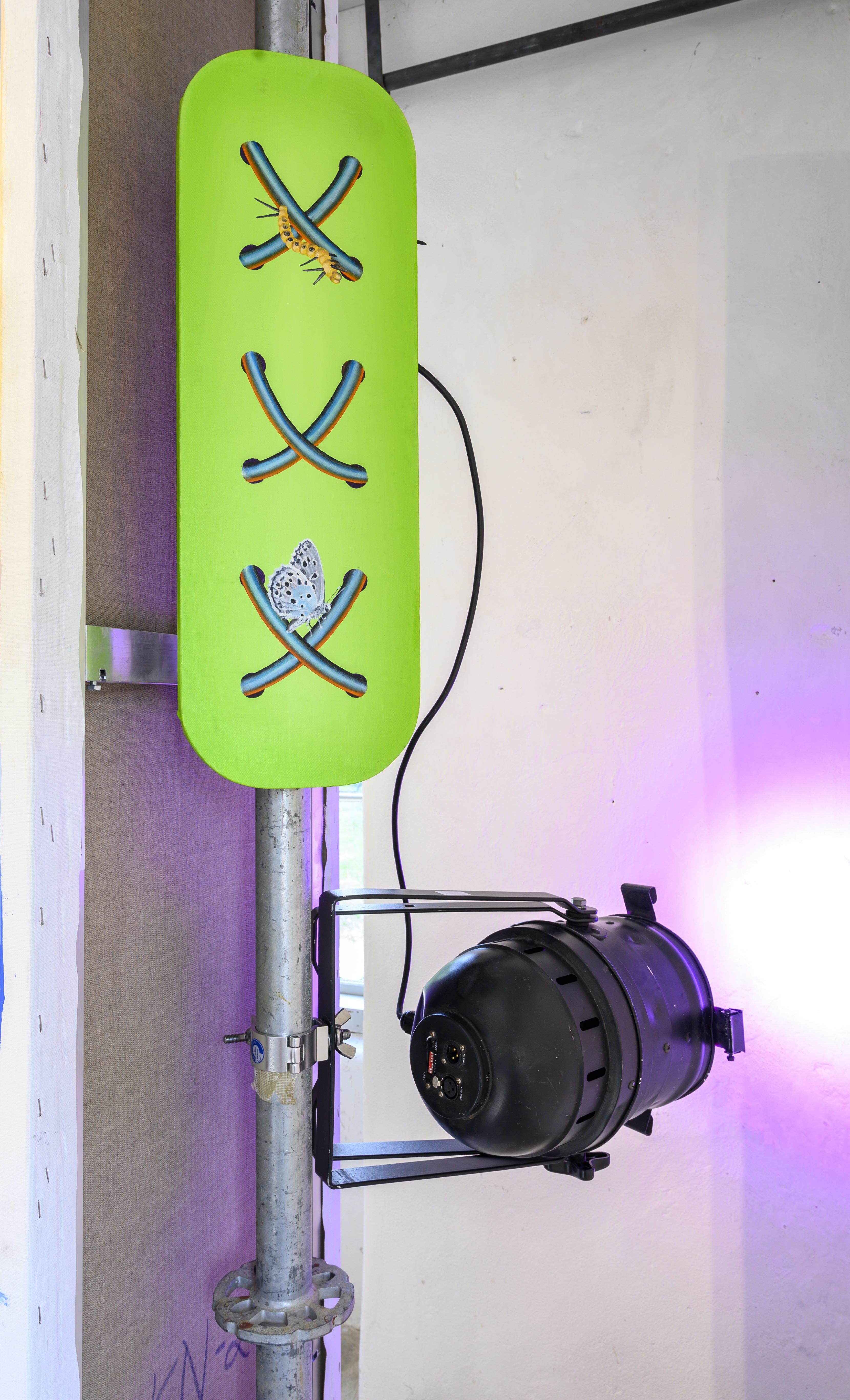 Compatibility, installation view