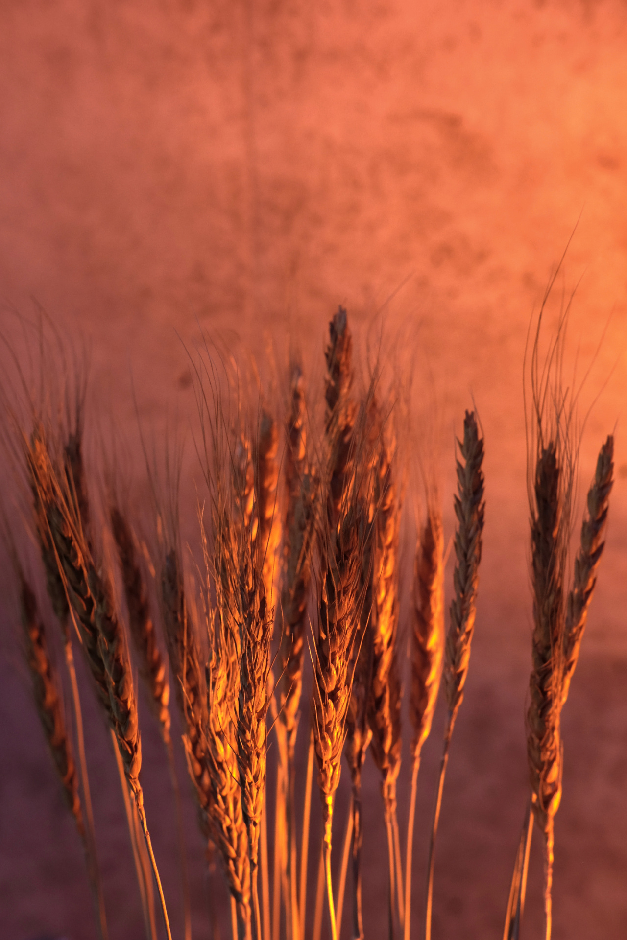 Look up. Look up in the sky