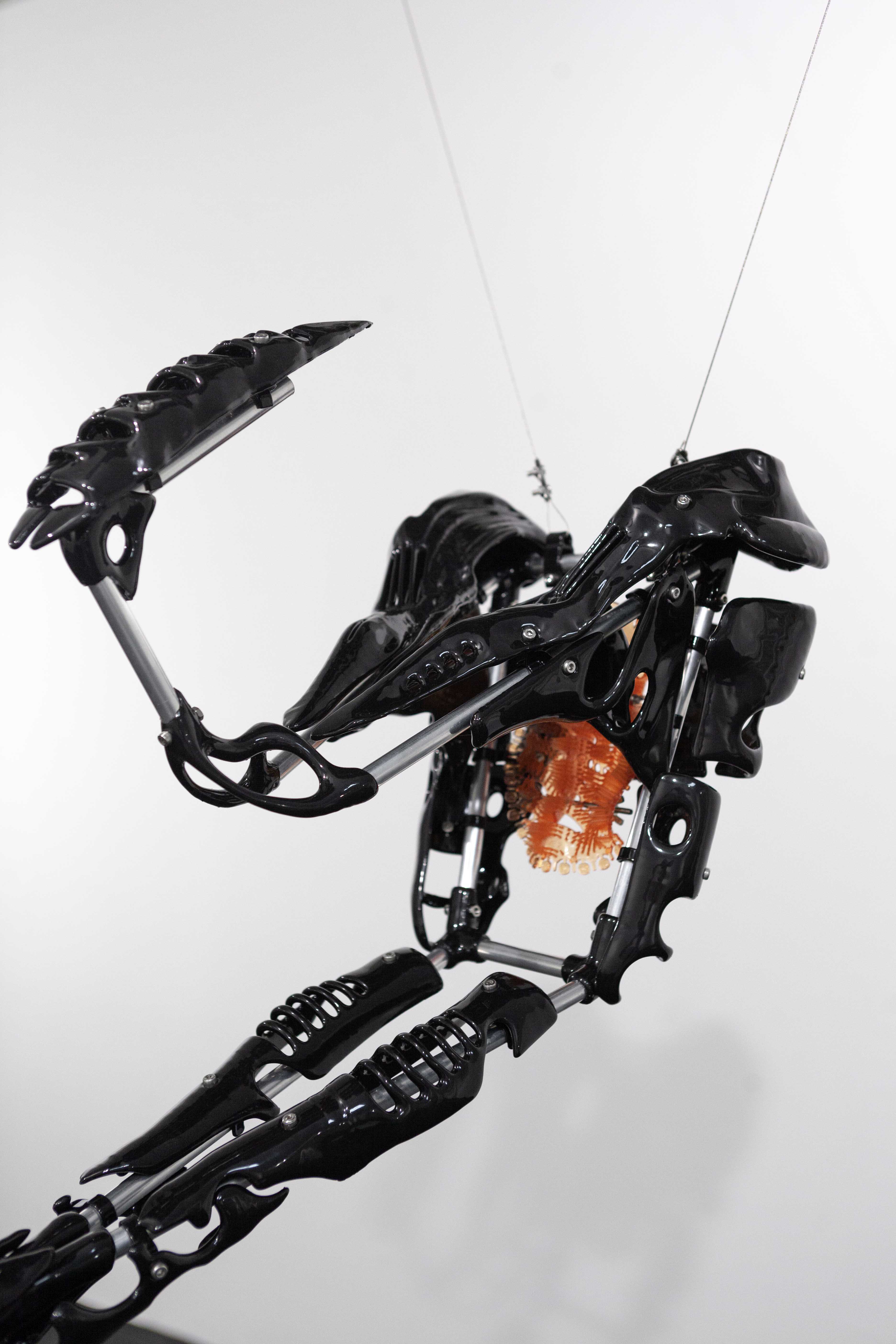 Detail of Johannes Thiel "Freedom professional shield" 2023