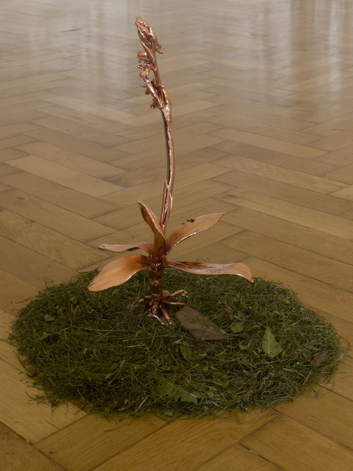 Silvia Cini Avant que nature meure, sculpture detail