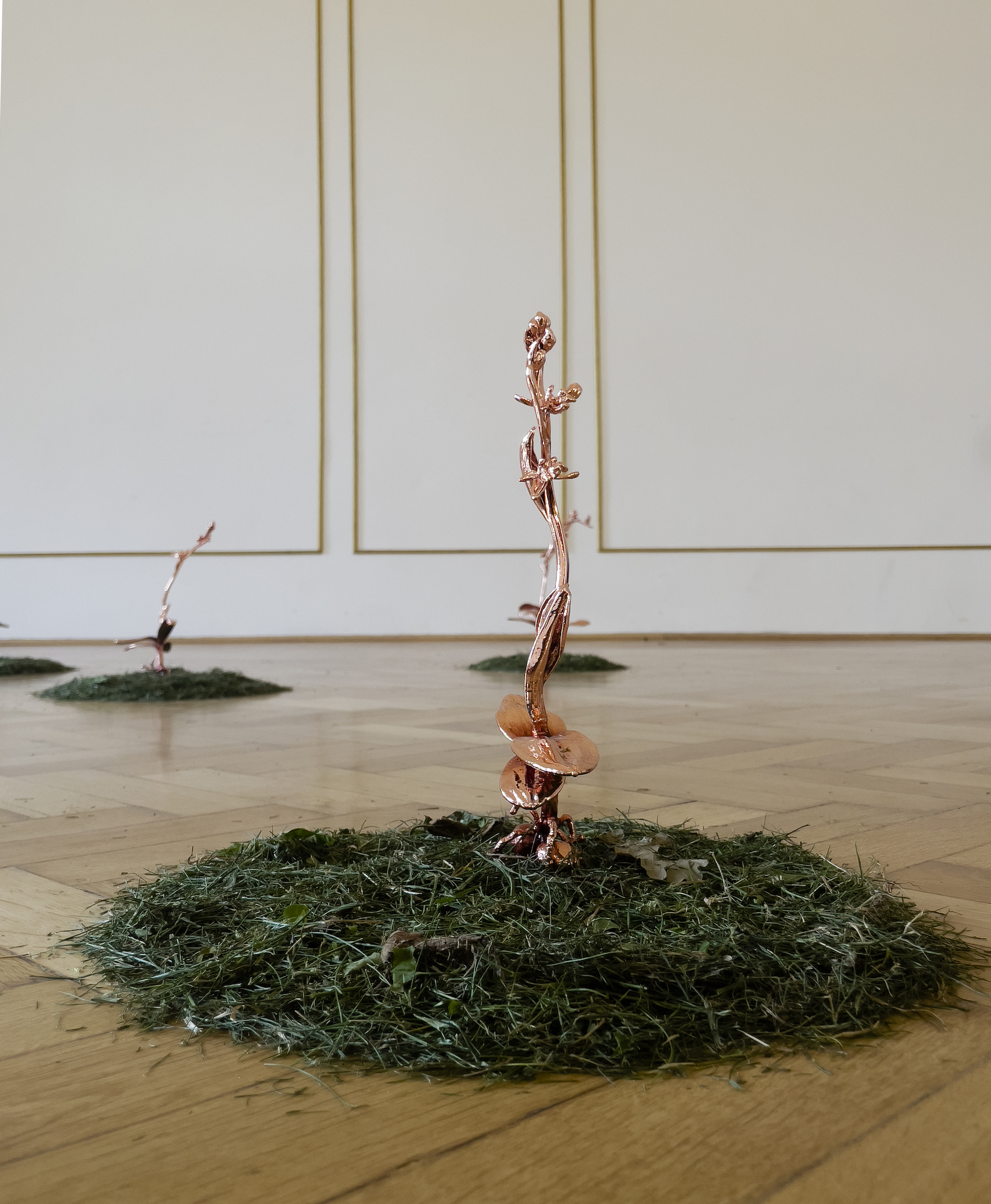 Silvia Cini Avant que nature meure, installation view