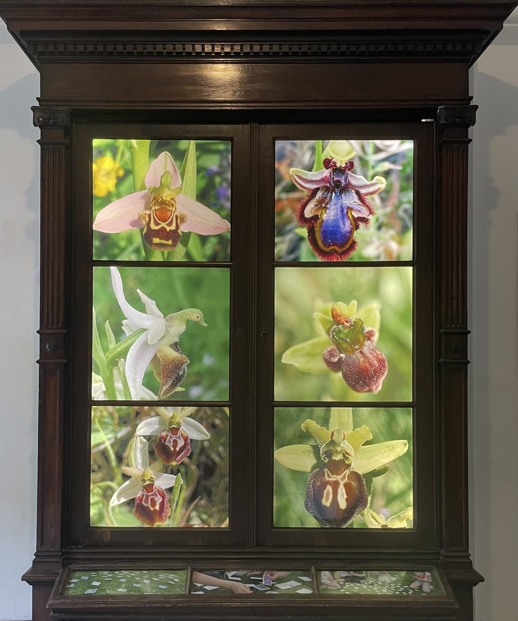 Silvia Cini Avant que nature meure, cabinet at the entrance