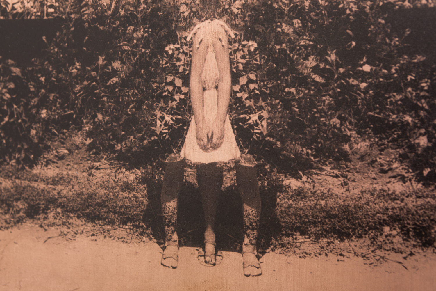 Togolok-Moldo 5, 2023, Printed copper plate, 40 cm x 60 cm, (Details)