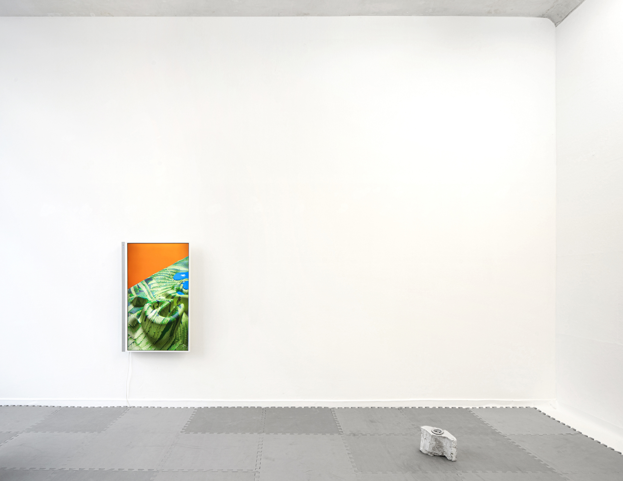 exhibition view
