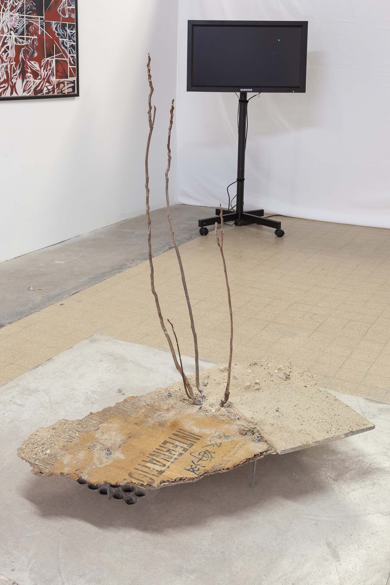 Ryder Morey-Weale, Ailanthus, 2023. Dried ailanthus altissima, sand, gravel, cement, cardboard, plaster, metal, dimensions variable