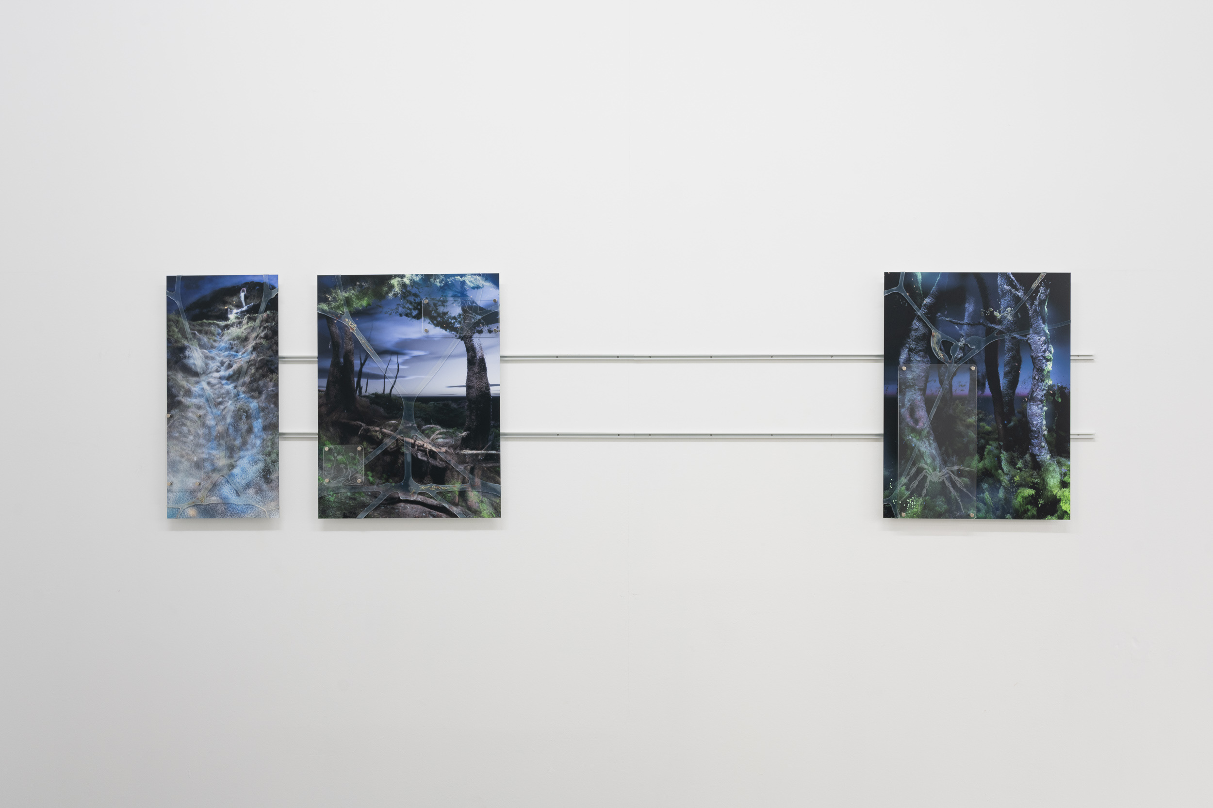 Exhibition view, 2023 courtesy the artist and EIGEN + ART Lab.