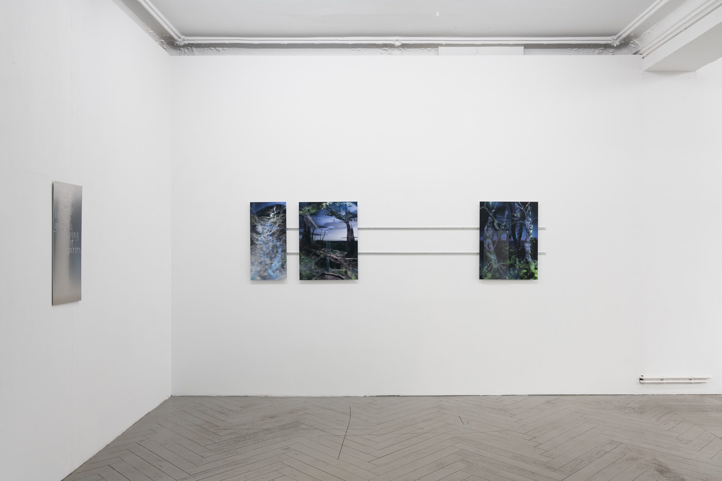 Exhibition view, 2023 courtesy the artist and EIGEN + ART Lab.