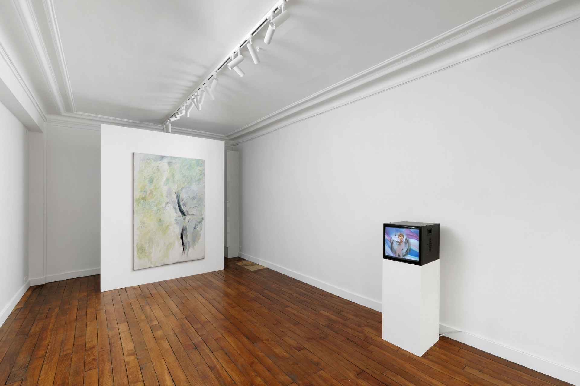 Exhibition view, Sol Calero, Nino Kapanadze, Shana Moulton, Crèvecœur, Paris, 2023. Courtesy the artists and Crèvecœur, Paris. Photo: Aurélien Mole