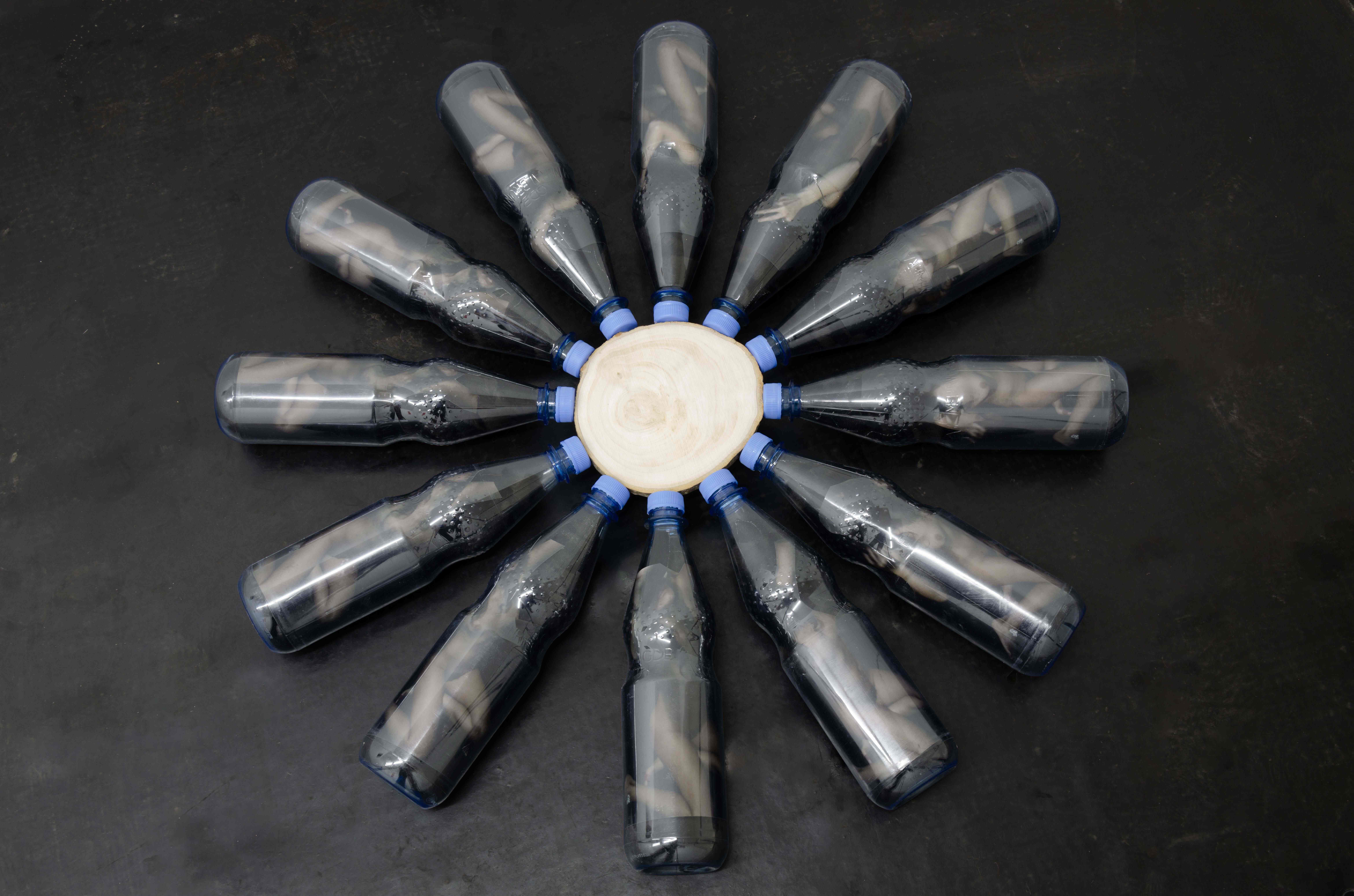 Lilli Thiessen, „container (in the garden)“, 2021, PET bottle, wood slice, c-print, fake fur, 80cm x 80cm