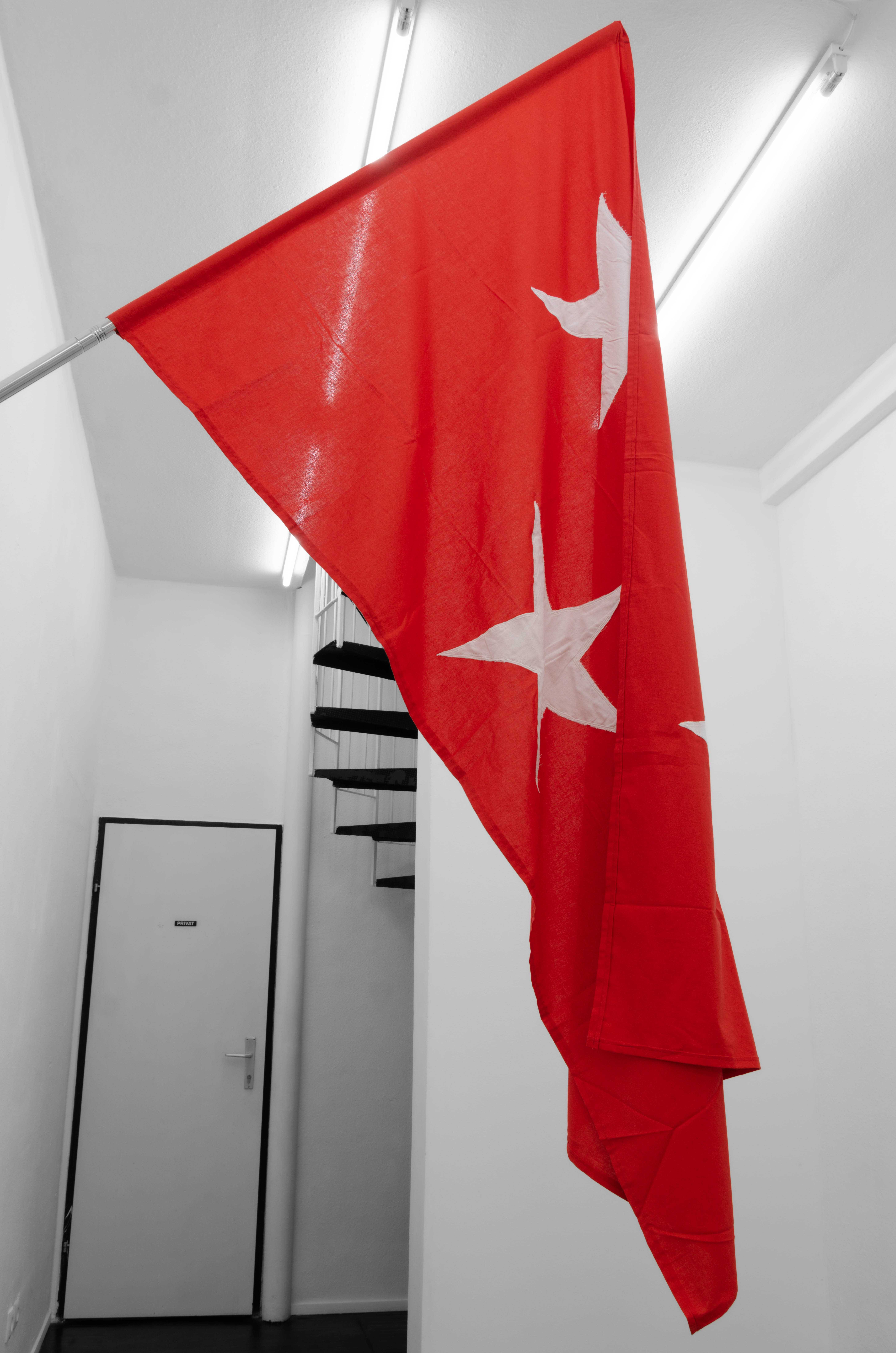 Isabelle Frances McGuire, Flag1(“A Star is Born”, “Betsy Ross”), 2023, Cotton, 61cm x 152cm