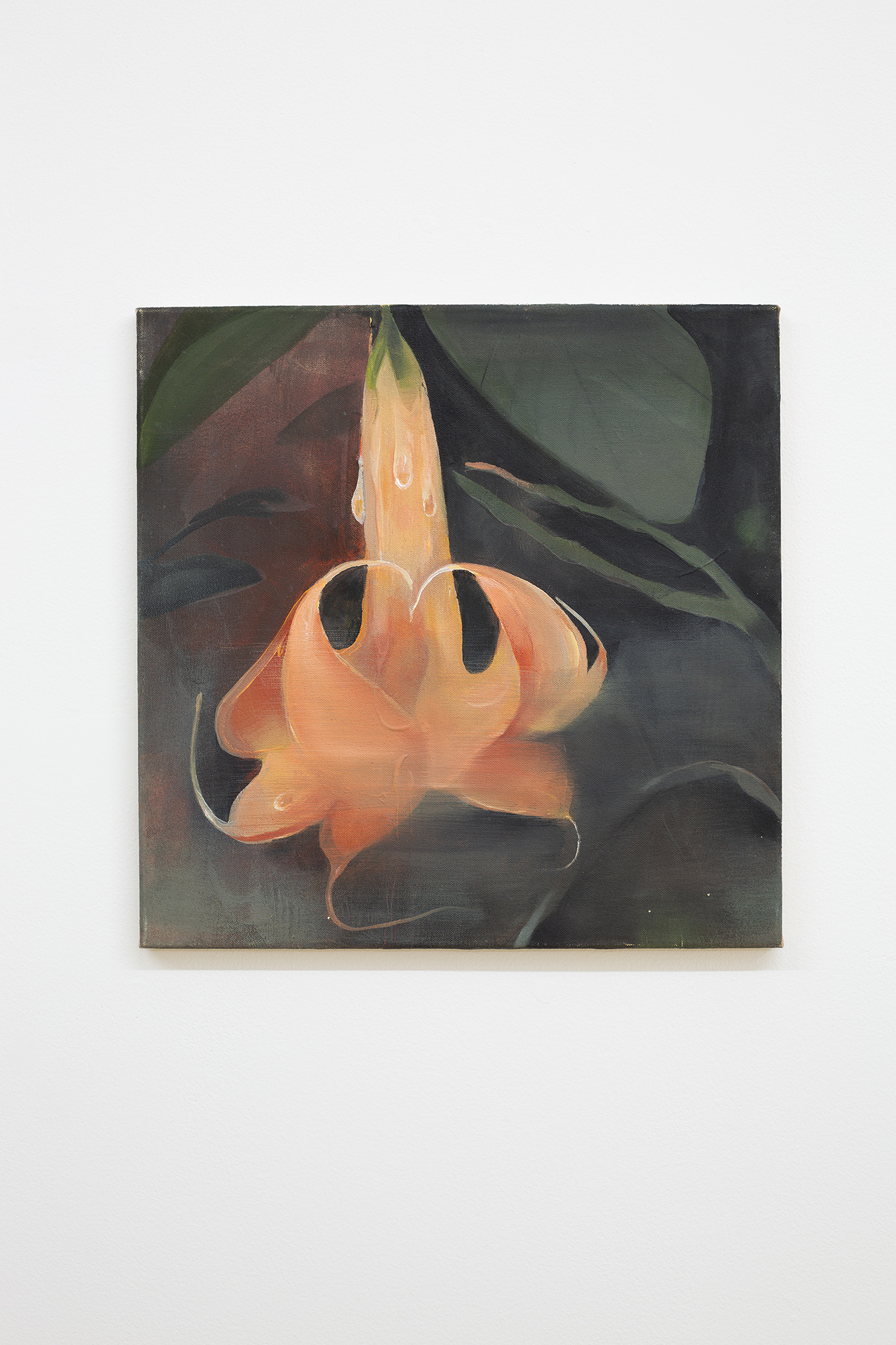 Anna Ruth, Angel Trumpet, 2023. Acrylic on canvas, 40 x 40 cm