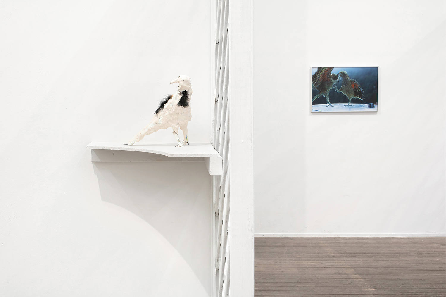 Left: Gina Fischli, Crow, 2023, Plaster, wire, feathers, 26 x 23 x 20 cm, Courtesy of the artist and Sandy Brown, Berlin, Right: Richard Frater, collected on strings and hung from a nail like wreaths of garlic until redeemed, 2020, Archival print