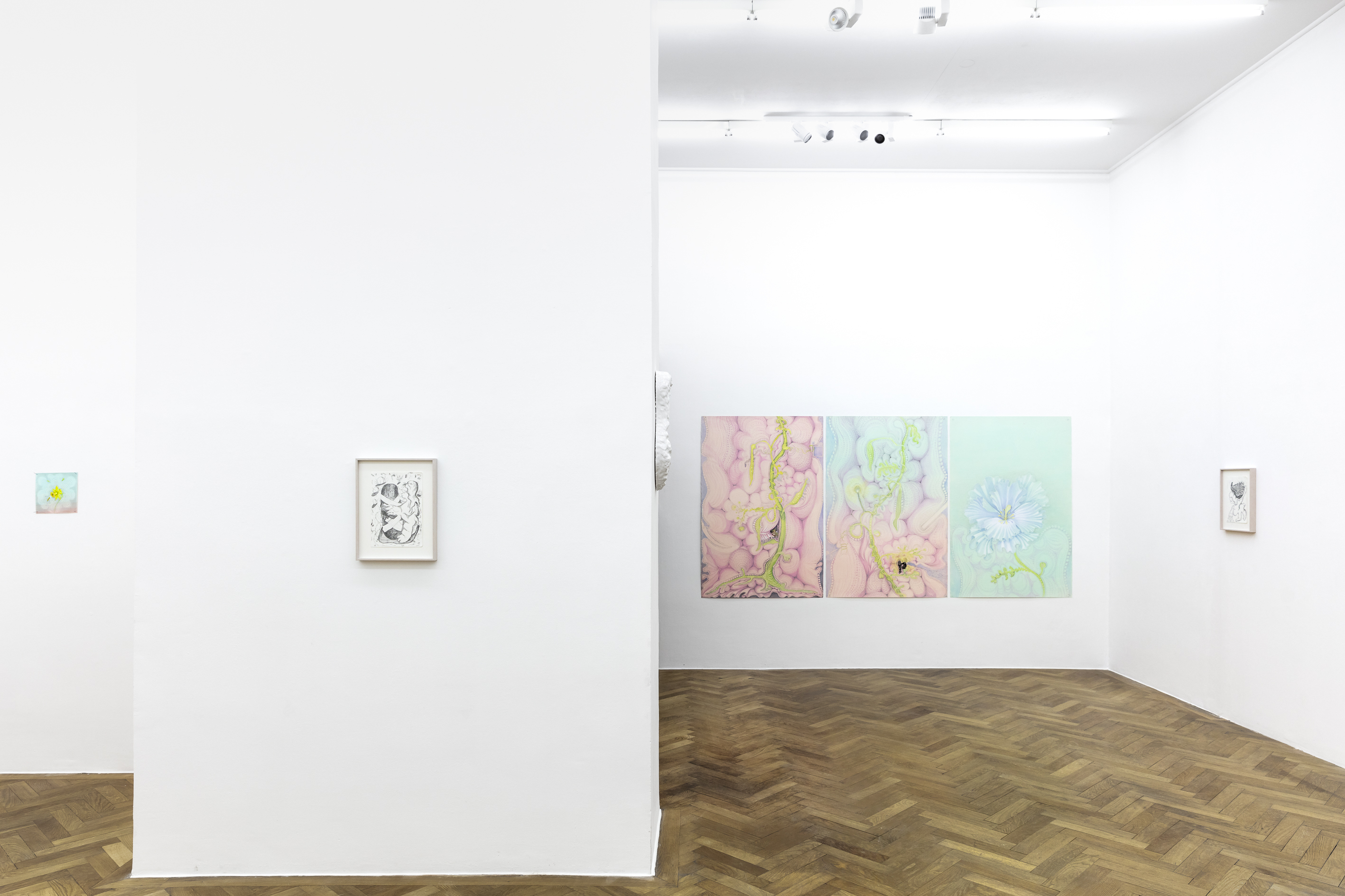 VARIOUS OTHERS 2023, Kinke Kooi, Anna McCarthy, Monique Mouton, installation view at Sperling, Munich