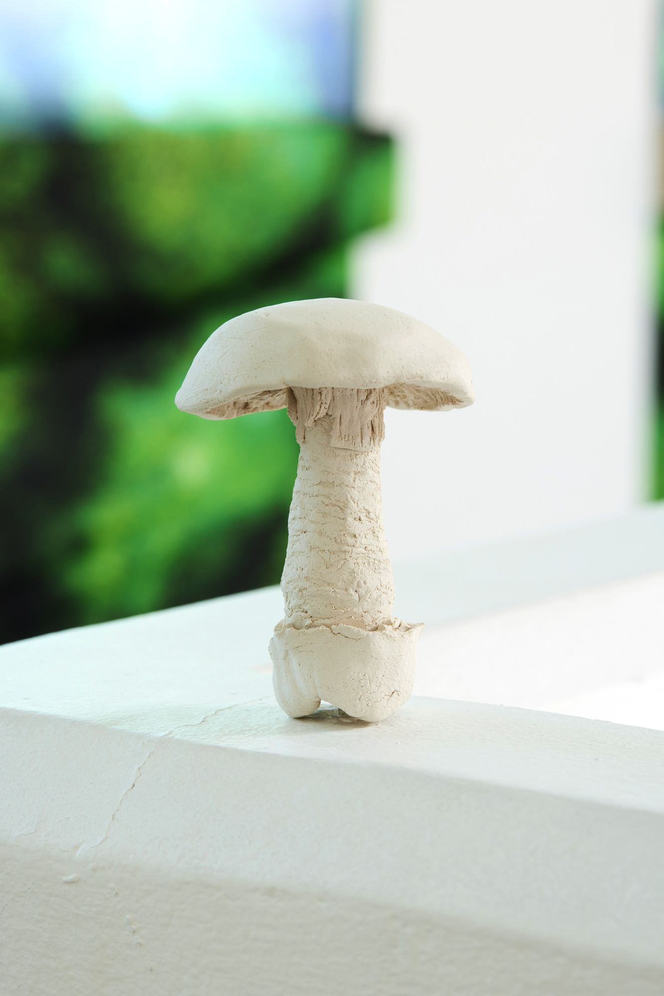 Heksenkreis, 2023, Installation 16 Ceramic mushrooms