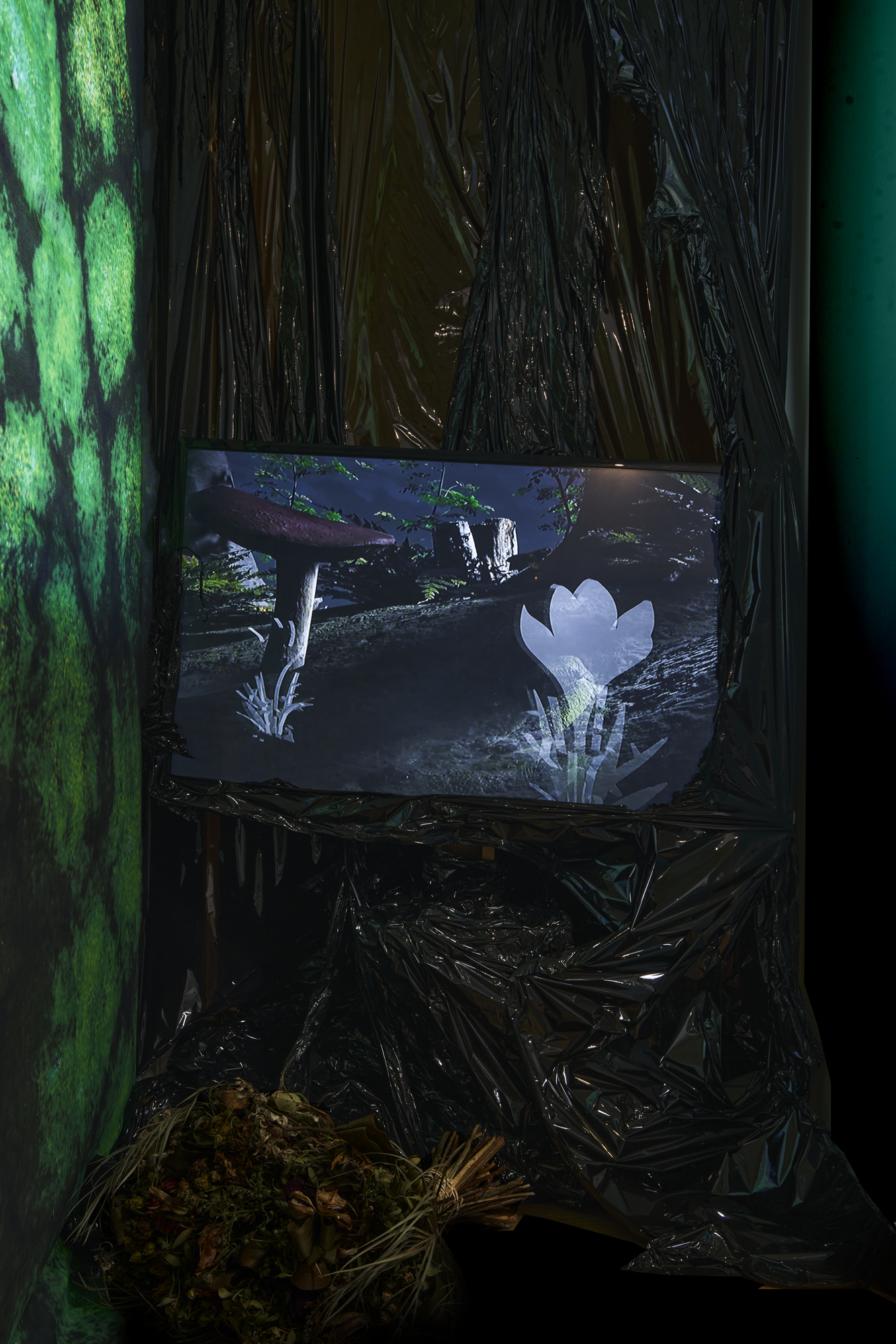 Bryophyta, 2021, moss, video: 4'45'', colour , no sound vfx: Glenn De Cock