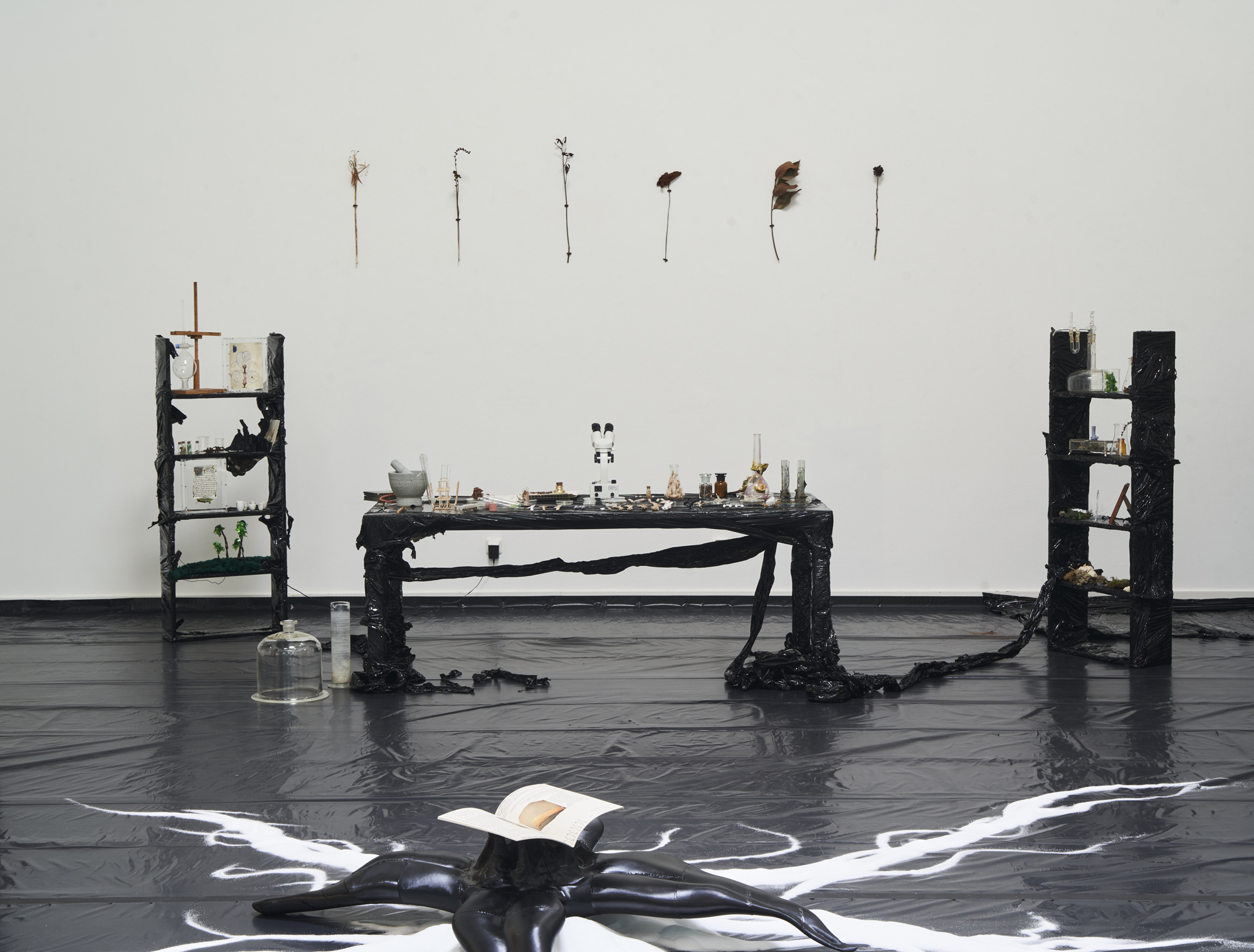 Vielen Dank für die Blumen, Labor, 2023, installation view