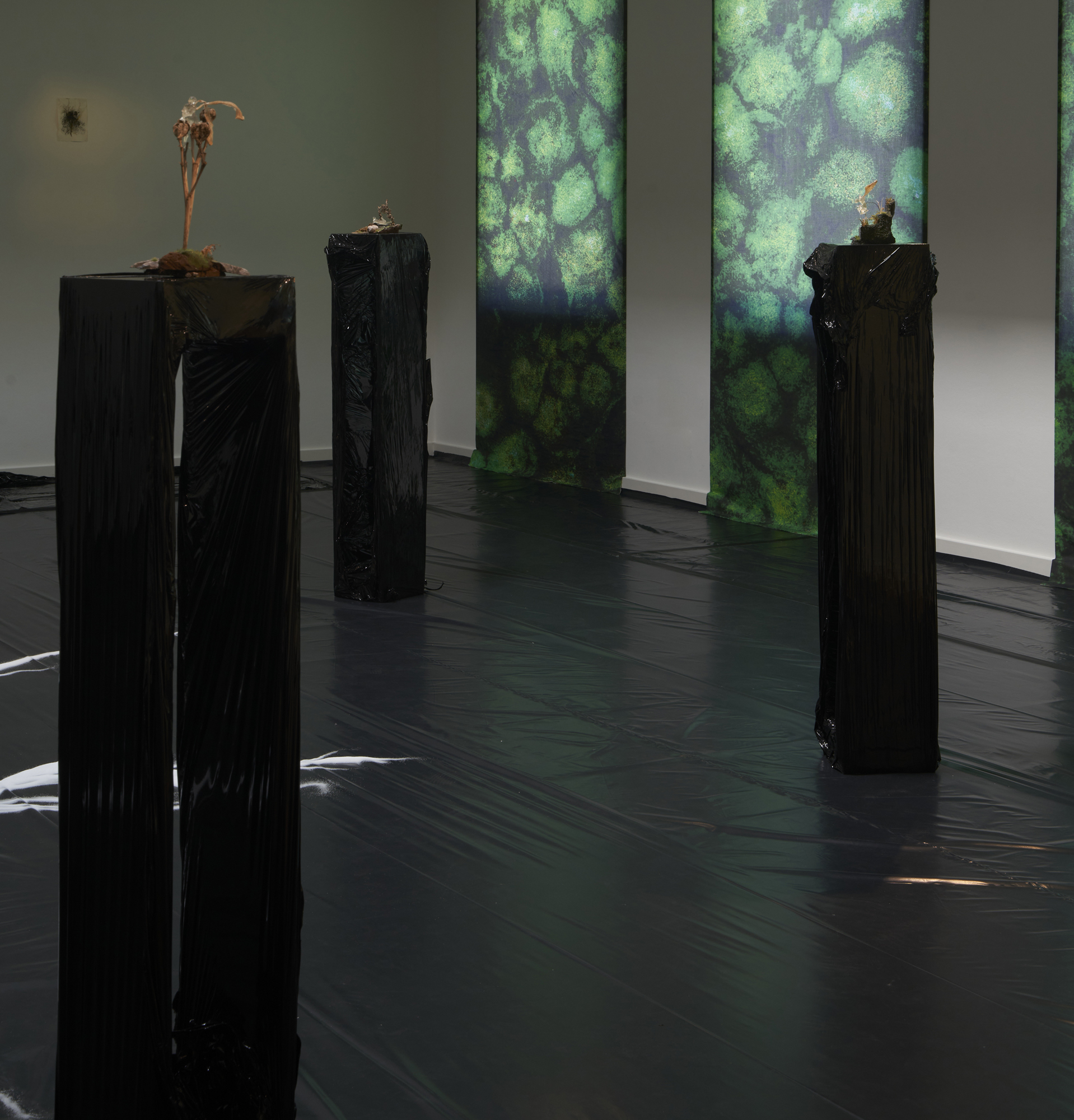 Vielen Dank für die Blumen, Labor, 2023, installation view