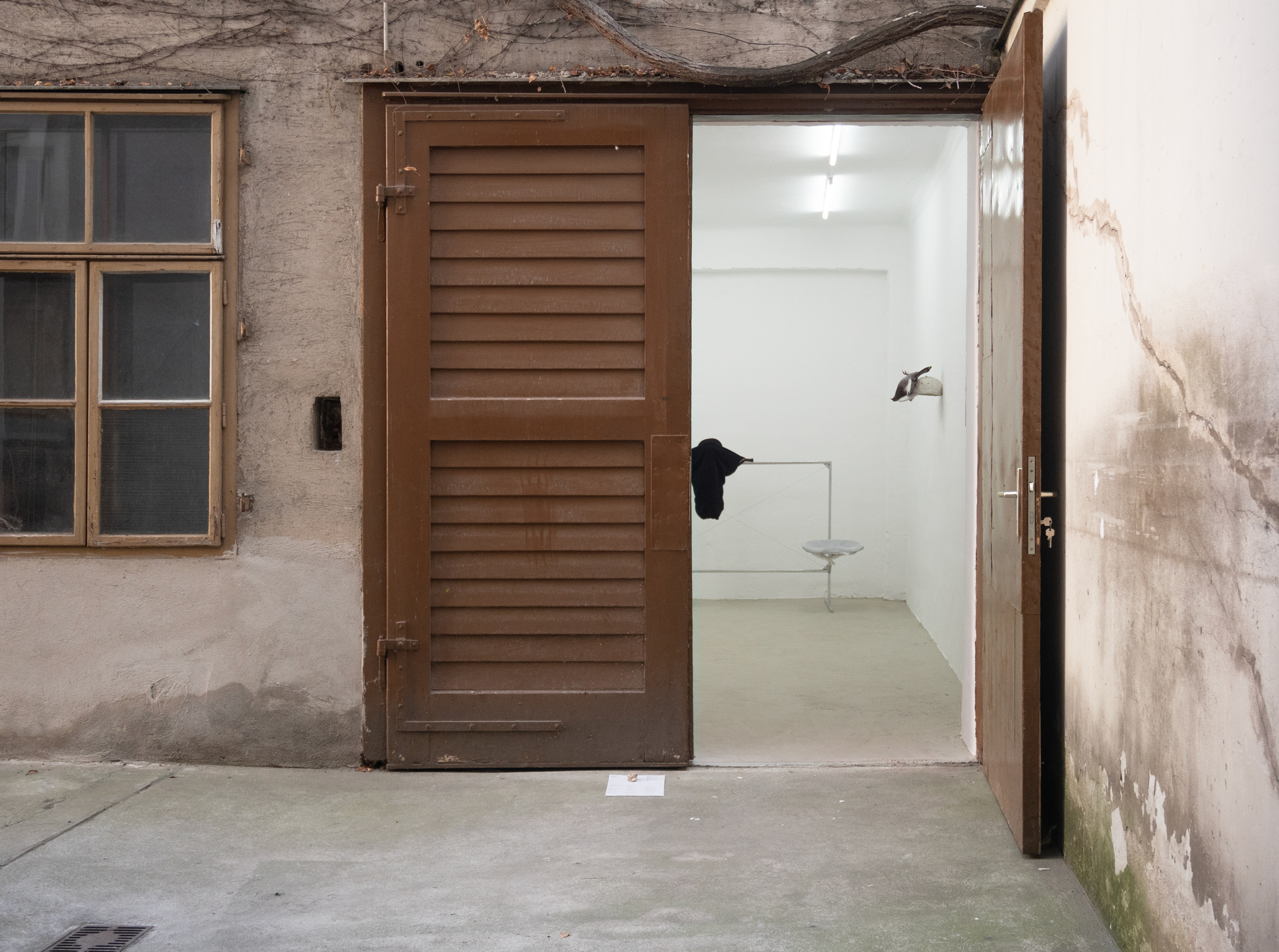 Clemens Tschurtschenthaler; Nature Is Mental; 2023; Cache Wien; Installation view