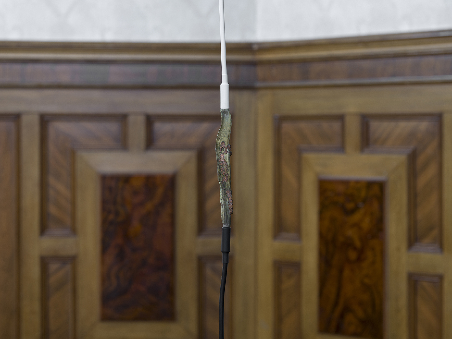 Hunter Longe, Various Lambent Portals, 2023, Exhibition View, Kunsthaus Langenthal, Photo: Cedric Mussano, Courtesy of the artist