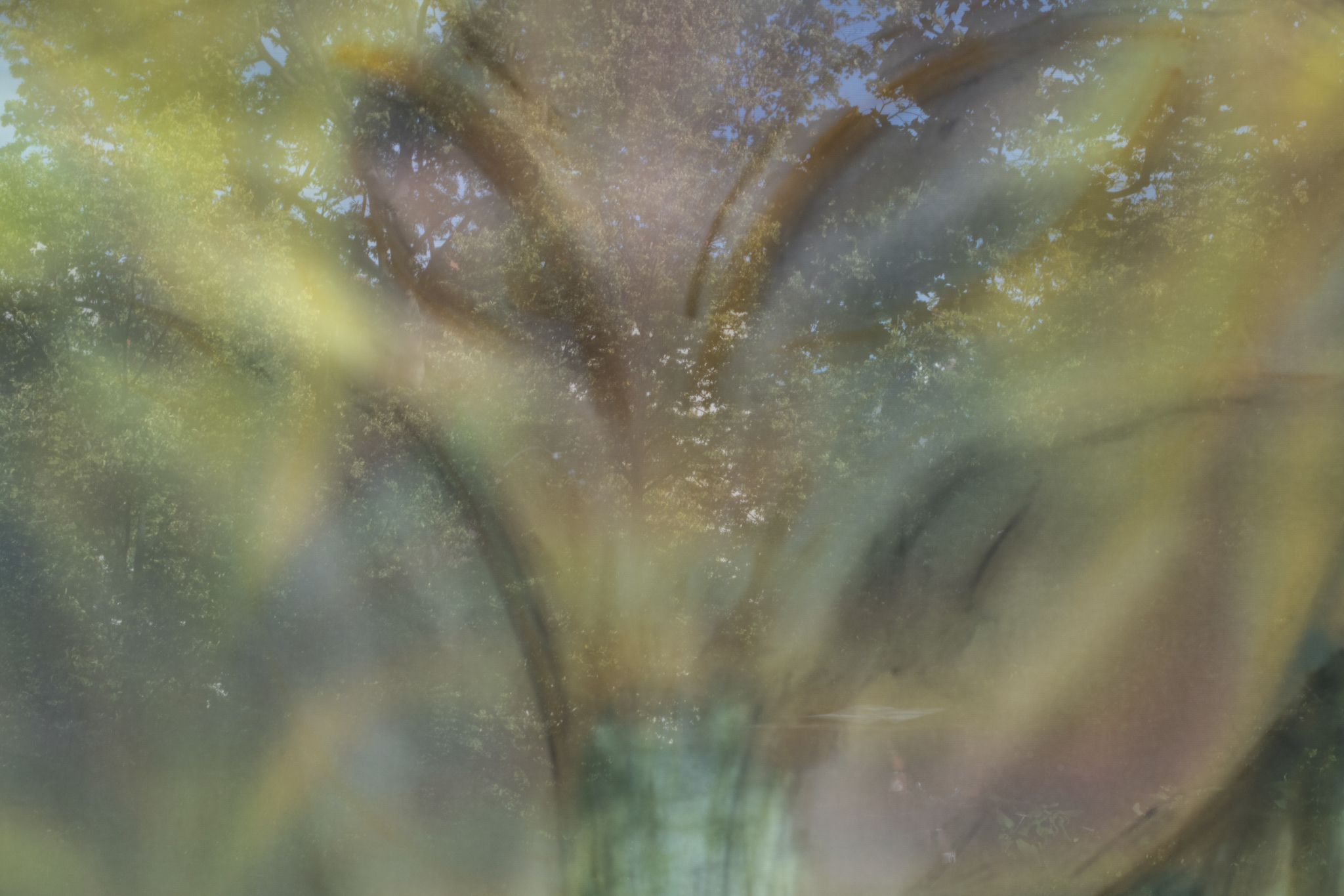 Shrine - Studio Hanniball: Christina Krys Huber