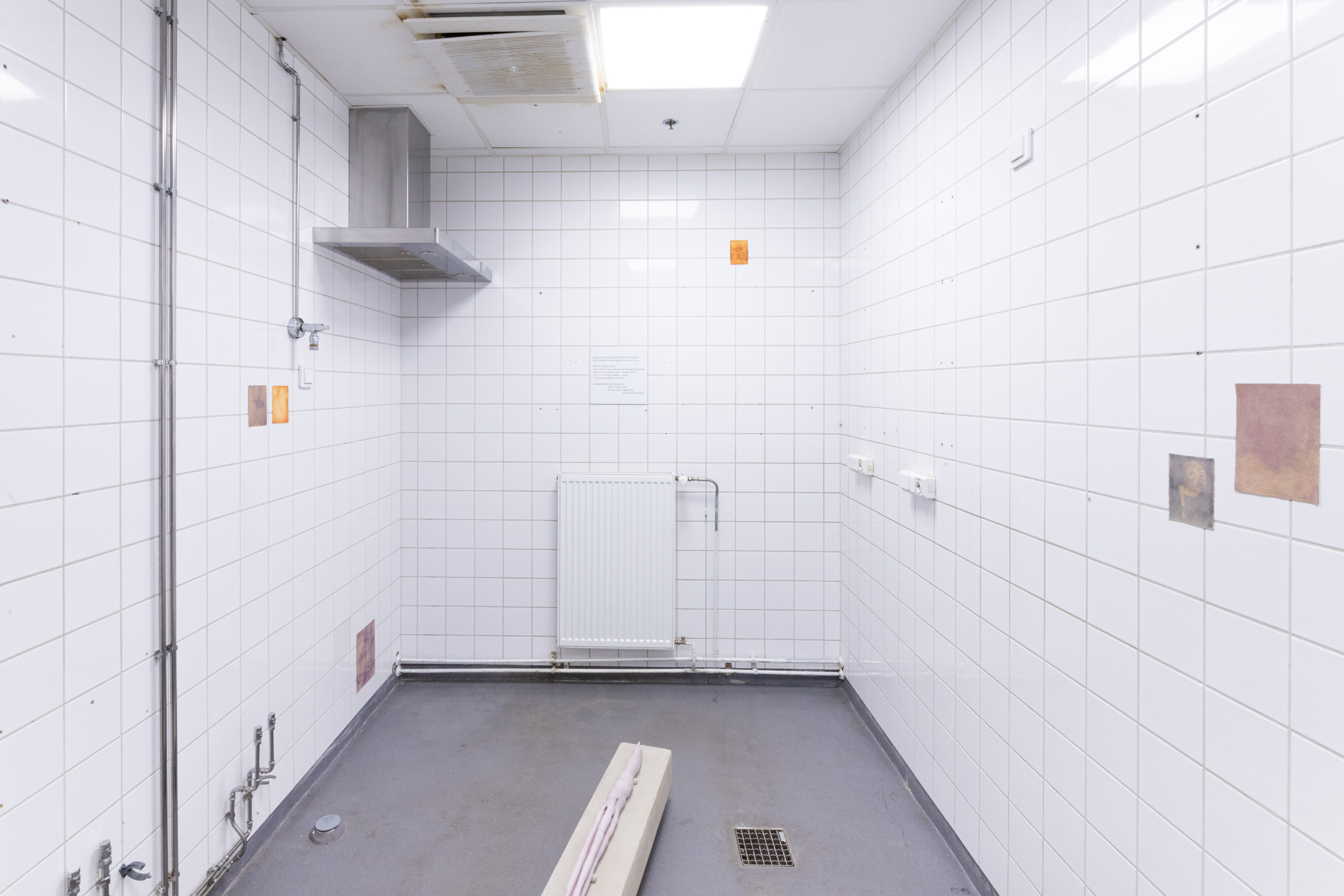 Pitted Dates: DOWNWELLING STARLIGHT, installation view