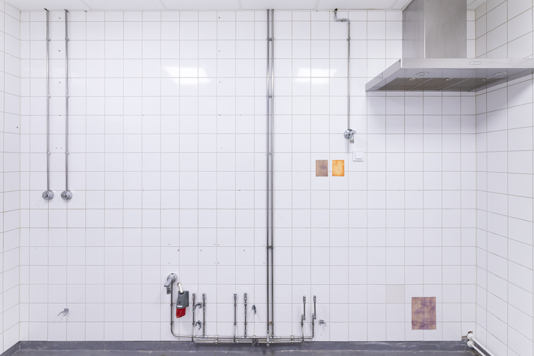 Pitted Dates: DOWNWELLING STARLIGHT, installation view