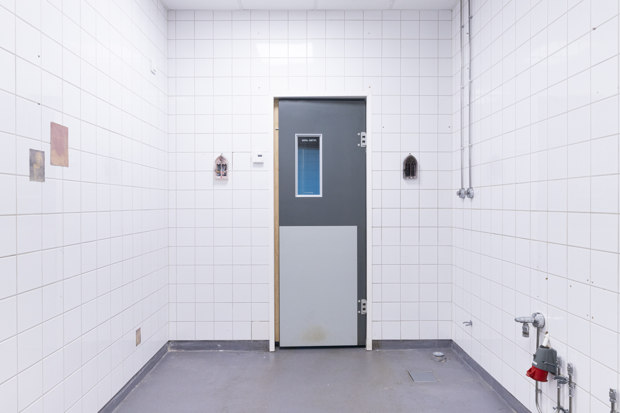 Pitted Dates: DOWNWELLING STARLIGHT, installation view