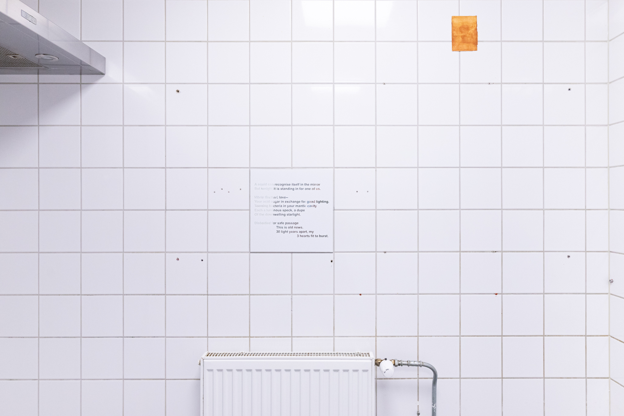 Pitted Dates: DOWNWELLING STARLIGHT, installation view