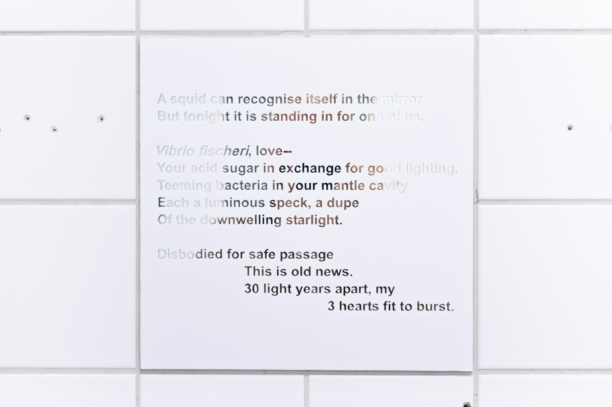 Pitted Dates: DOWNWELLING STARLIGHT, Flis Holland: Commissioned poem, Vinyl sticker on mirror, 30x30cm