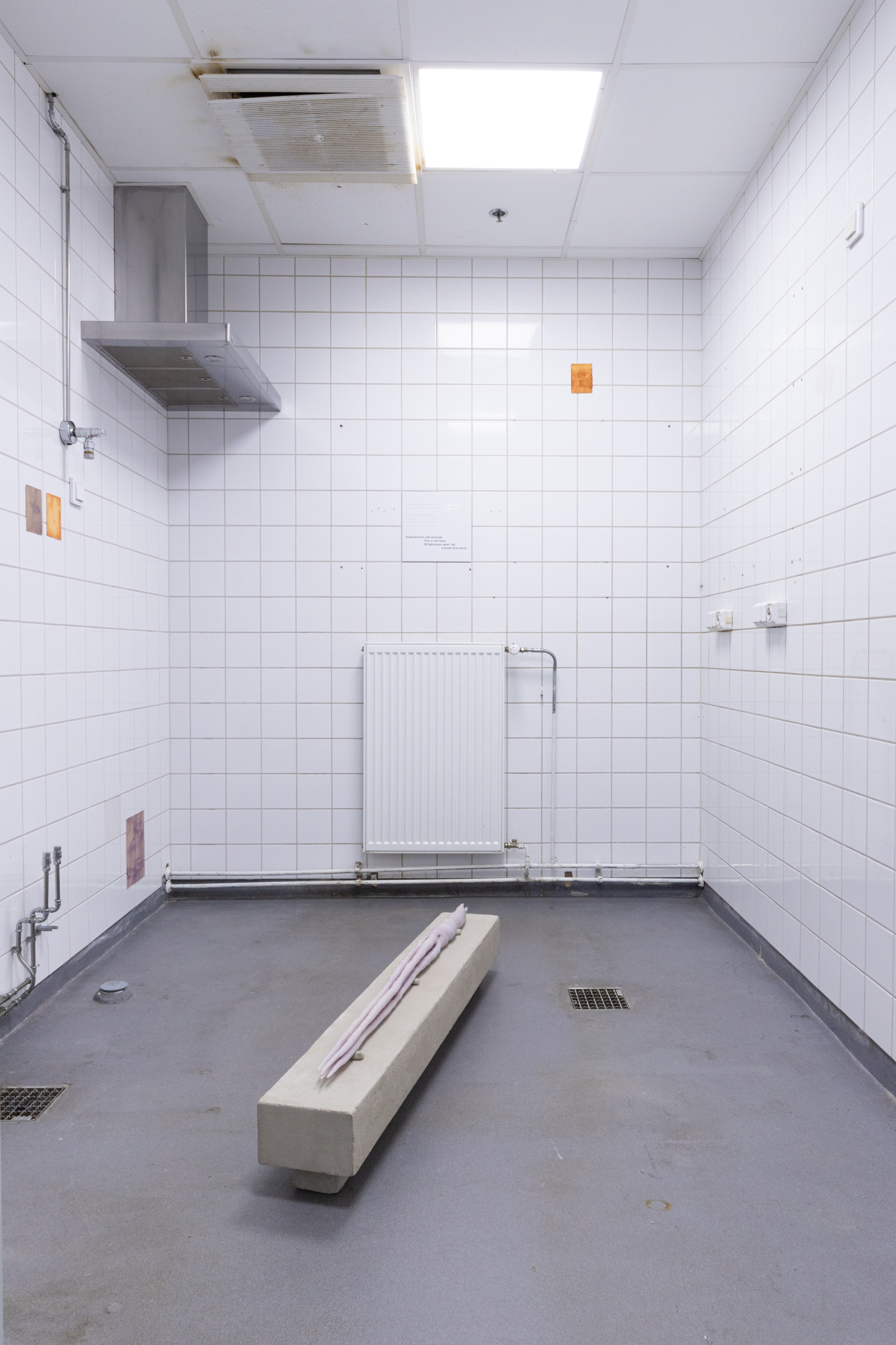 Pitted Dates: DOWNWELLING STARLIGHT, installation view