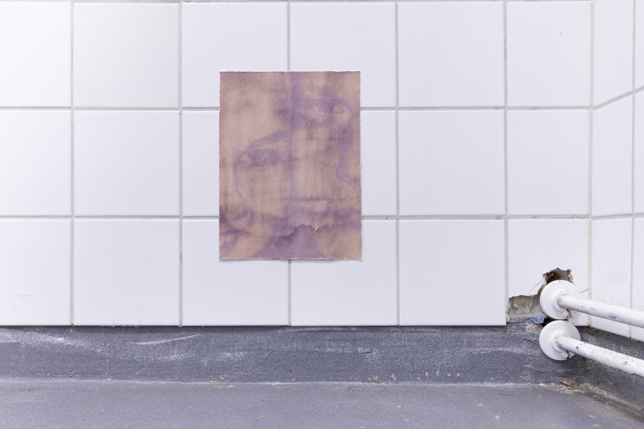 Pitted Dates: DOWNWELLING STARLIGHT, Liina Aalto-Setälä: Maa ei ota vastaan, 2022, Anthotype on black beans, sunlight exposure, 26,5x20cm