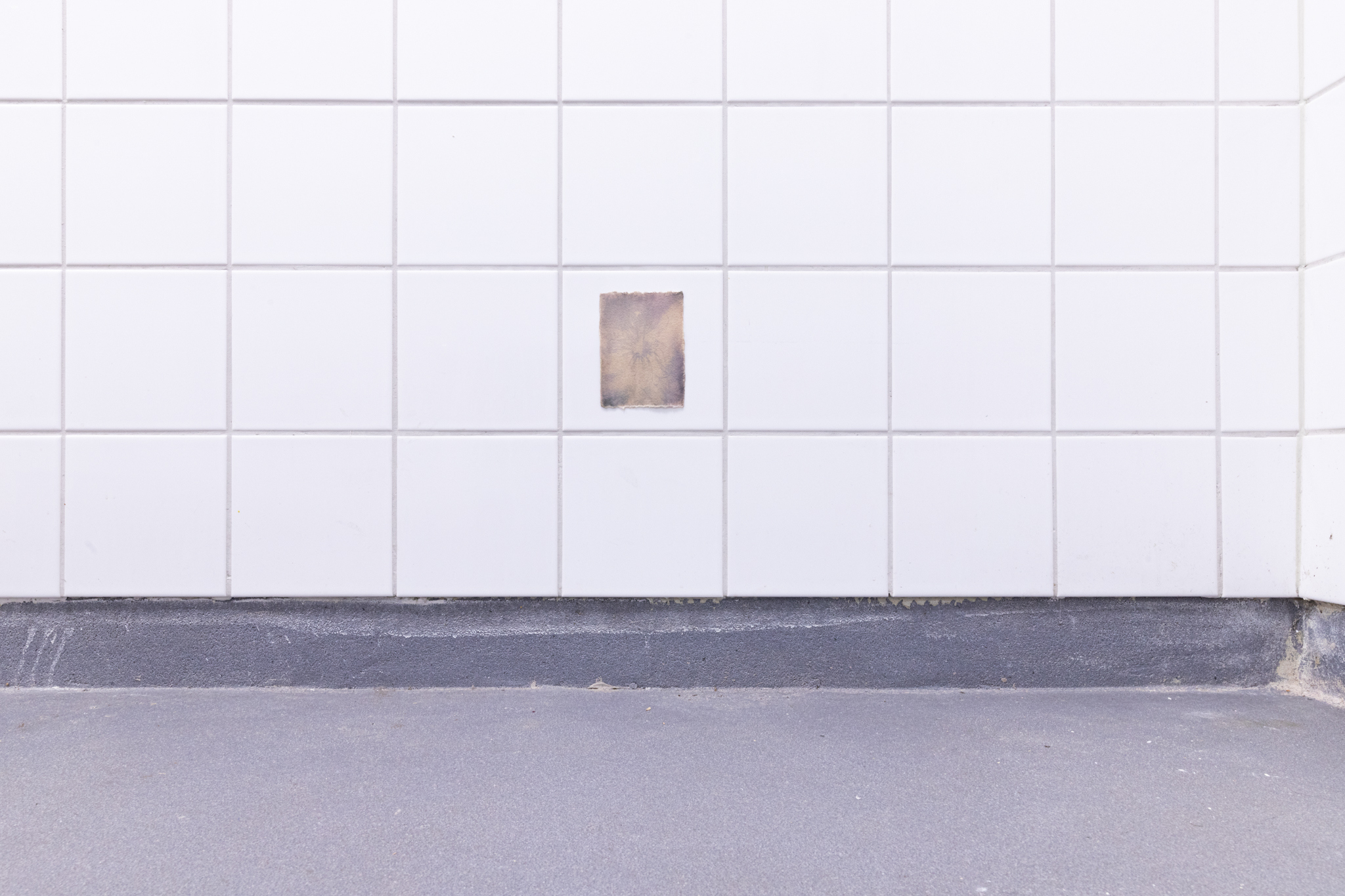 Pitted Dates: DOWNWELLING STARLIGHT, Liina Aalto-Setälä: Päivännäkemä VI, 2023, anthotype on black beans, sunlight exposure,10x8cm