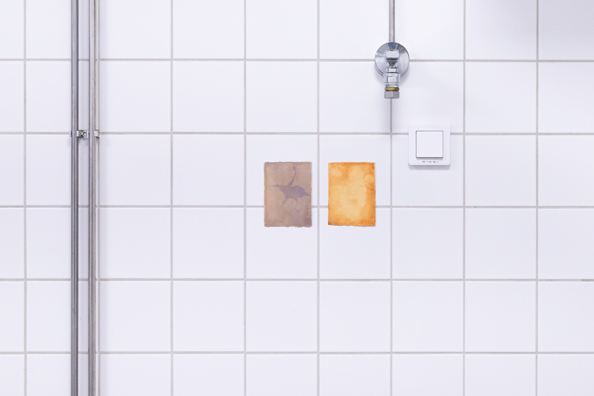 Pitted Dates: DOWNWELLING STARLIGHT, Liina Aalto-Setälä: Päivännäkemä I, 2023, anthotype on red cabbage, sunlight exposure 13,5x10cm + Päivännäkemä II, 2023, anthotype on onion, sunlight exposure, 13x10cm