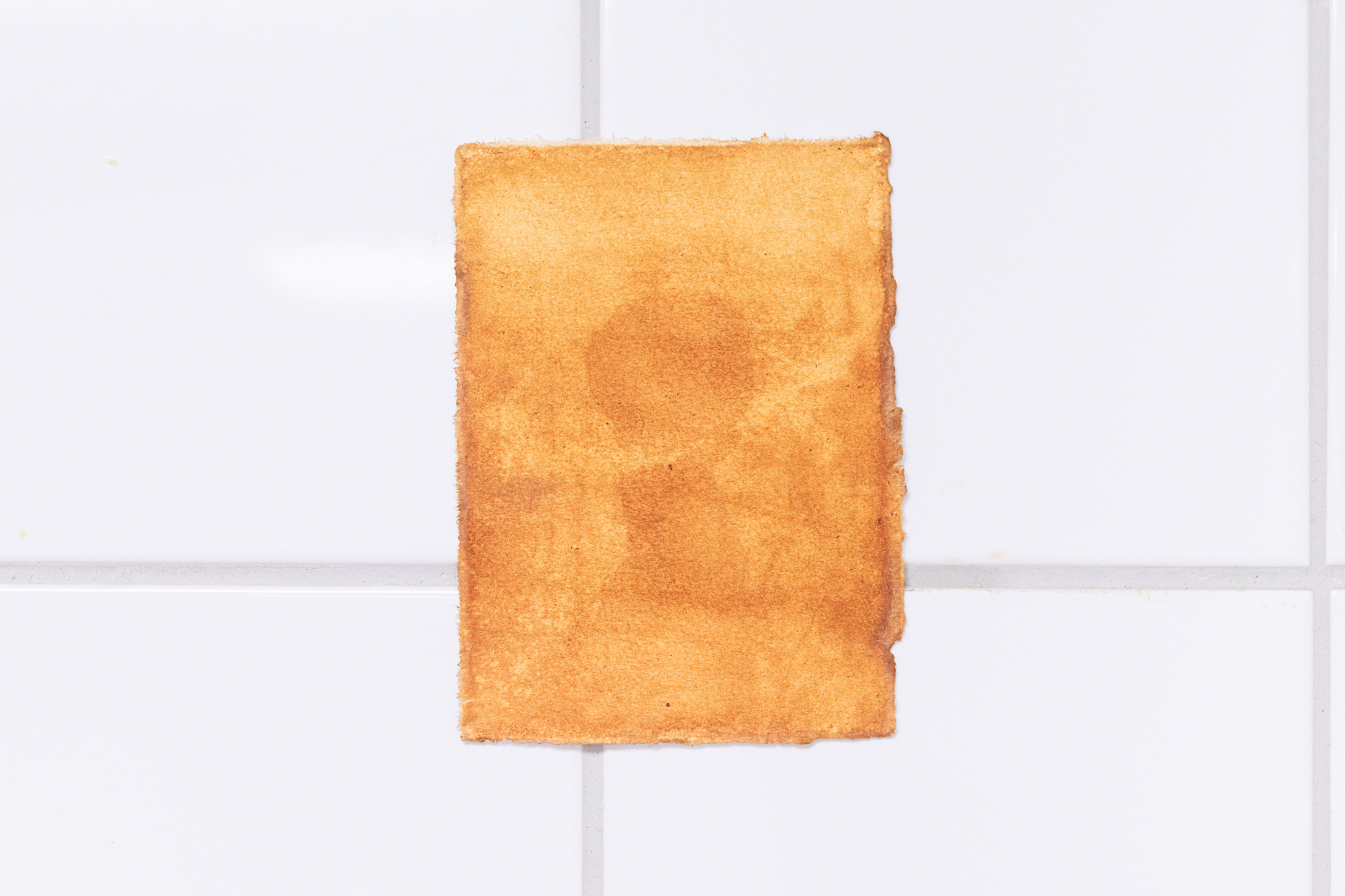 Pitted Dates: DOWNWELLING STARLIGHT, Liina Aalto-Setälä: Päivännäkemä III, 2023, anthotype on avocado, sunlight exposure,12,5x9cm