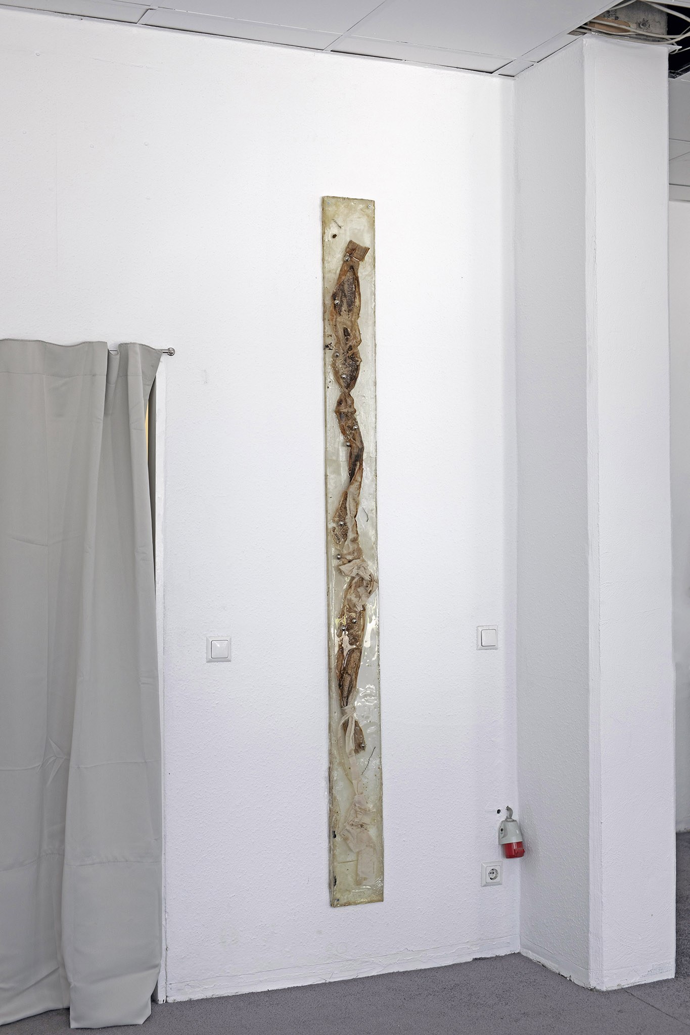 I Slit the Mammary Gland and Heard The Echoes of An Unknown Land, 2023 , Makkeolli(Korean Rice Wine), Stainless Steel Bowl, Epoxy, Rice Yeast, and Cotton Cloth, 18 x 230 x 1.5 cm
