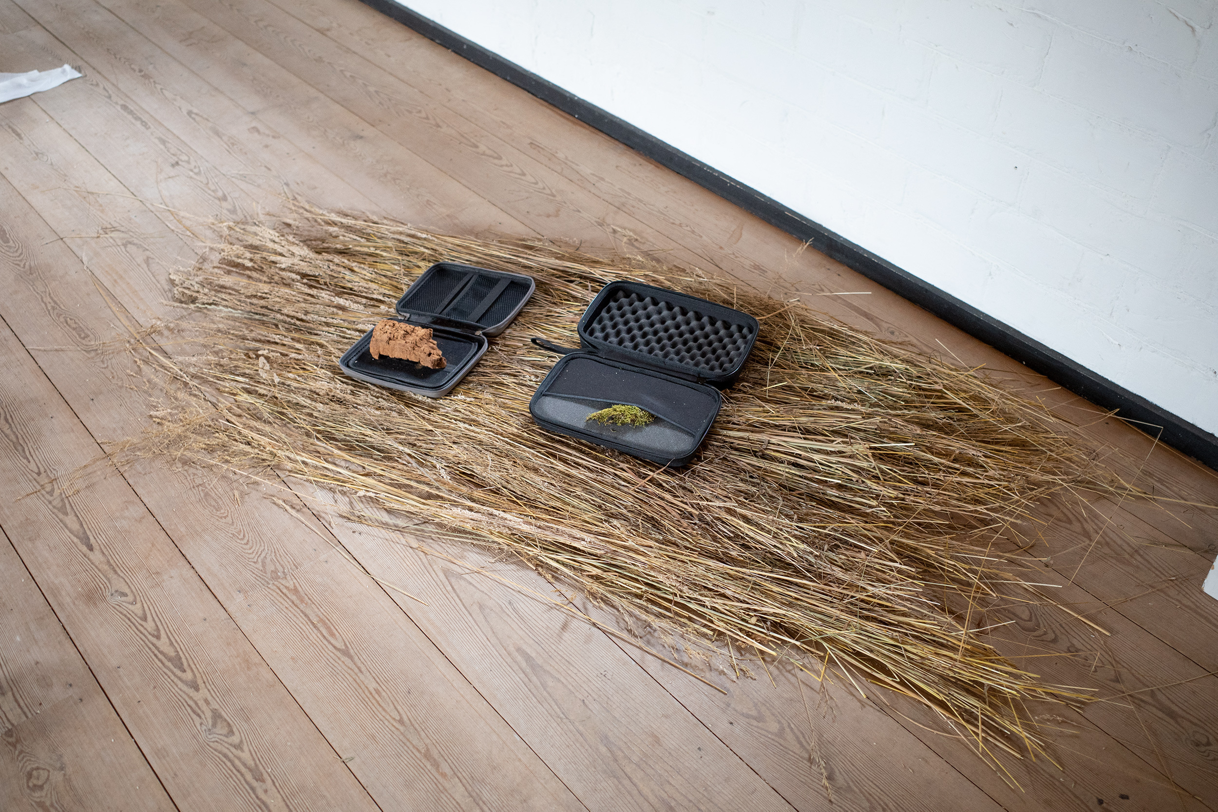 Halfdan Kajhøj, untitled (revisionised), Dried switchgrass and hairgrass, transport cases, carpet moss, burnt ash wood, 10x100x30cm