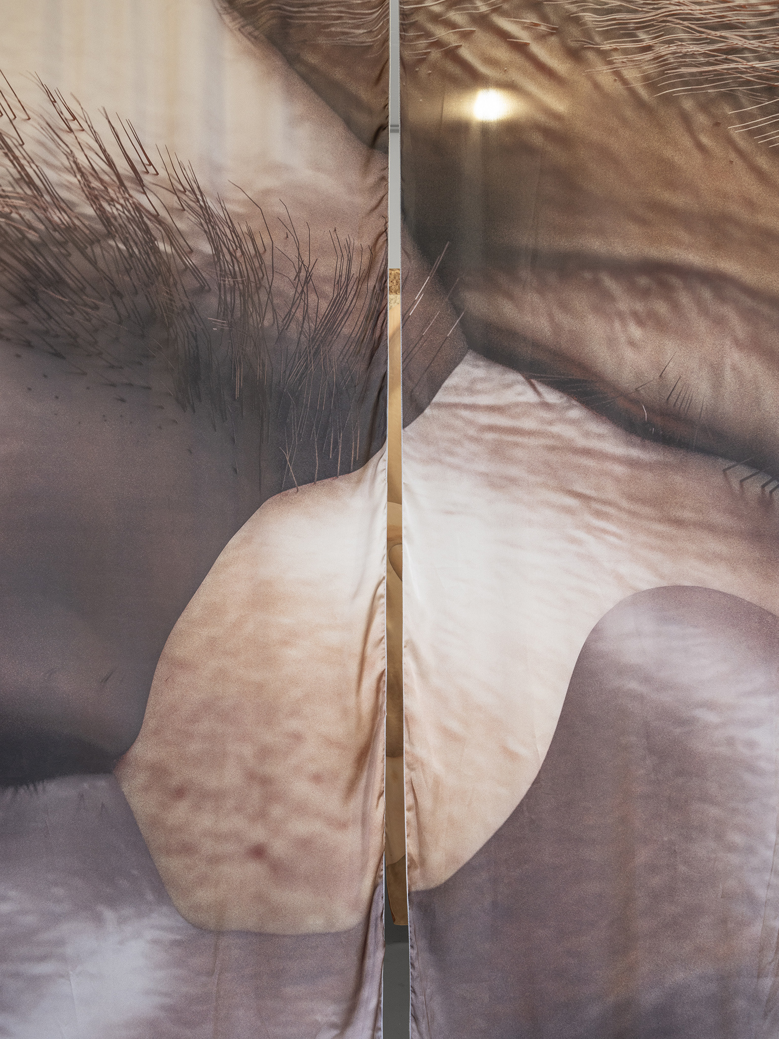 Exhibition View «UNSEEN RECONSTRUCTIONS; view on Robin Bervini, Until I Stop Trying to Get Out of My Skin, installation and VR Experience, duration  5'20'' , 2020» at La rada / Photo: Riccardo Giancola / Courtesy: the artists and La rada