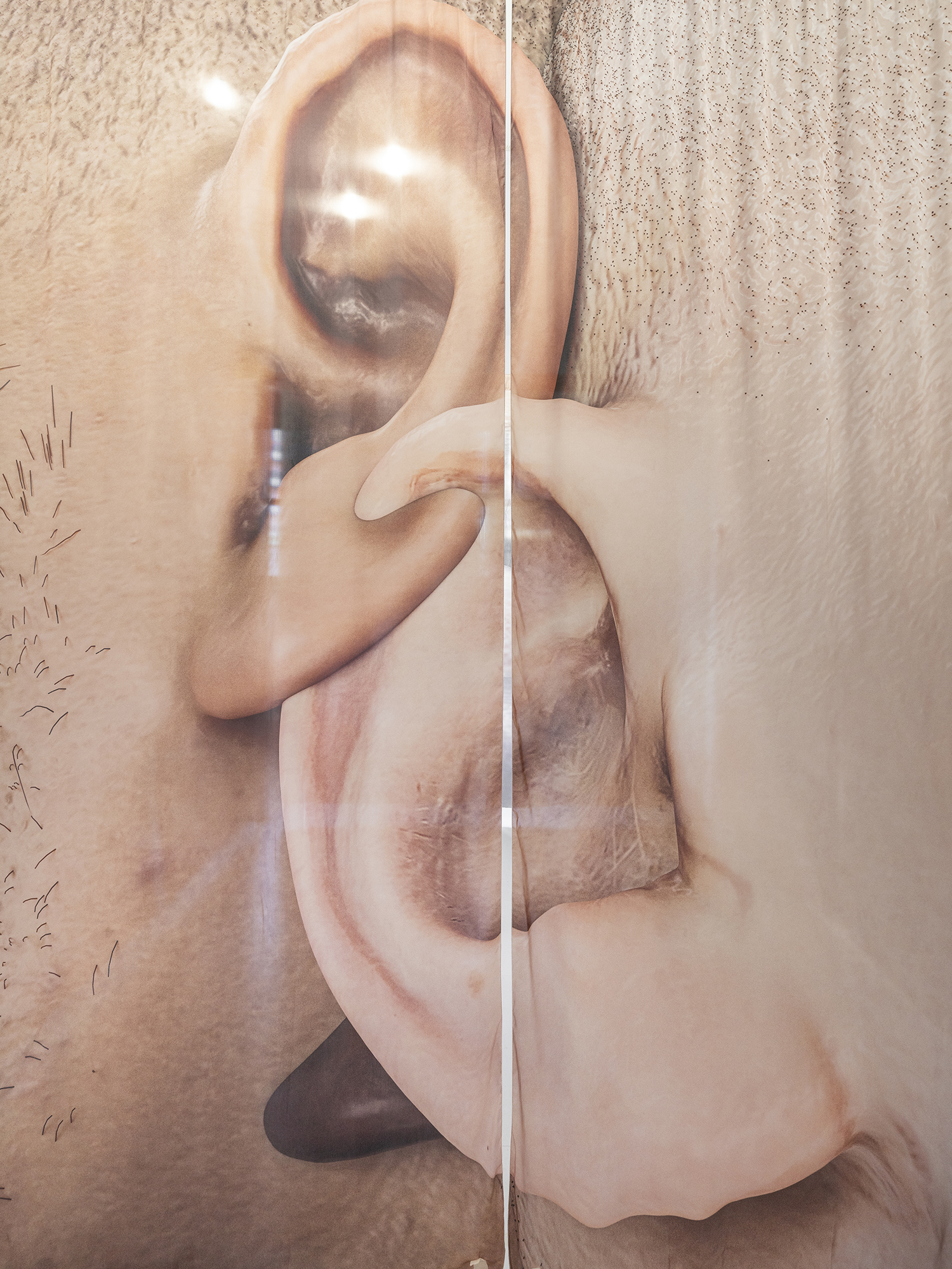 Exhibition View «UNSEEN RECONSTRUCTIONS; view on Robin Bervini, Until I Stop Trying to Get Out of My Skin, installation and VR Experience, duration  5'20'' , 2020» at La rada / Photo: Riccardo Giancola / Courtesy: the artists and La rada