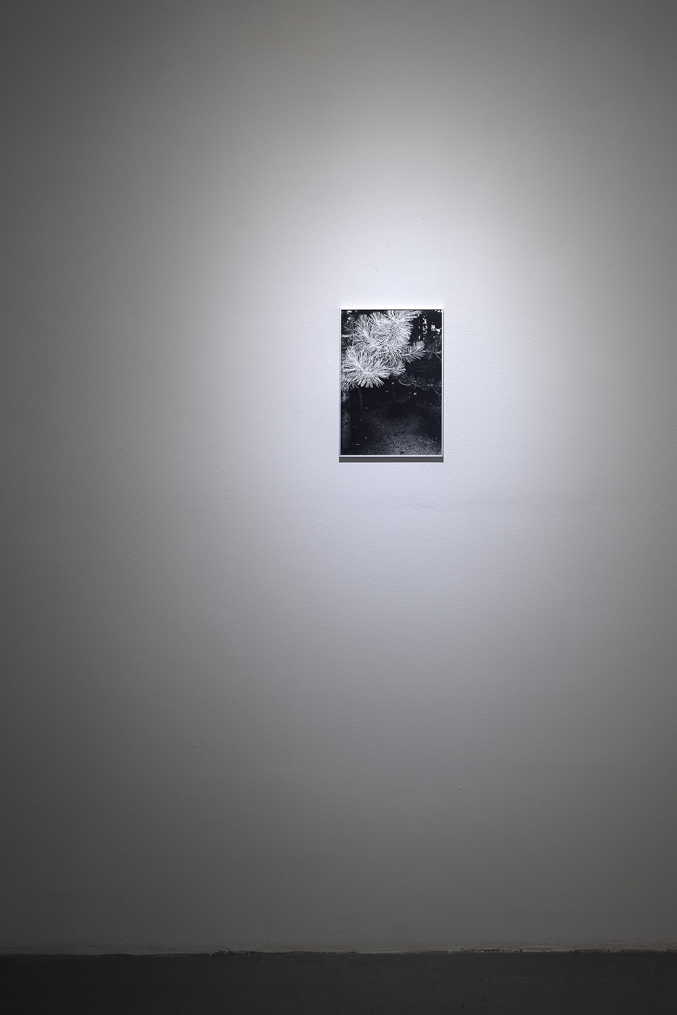 And my heart owns a doubt series, 3 digital prints of 35mm film on Hahnemühle paper, 2023