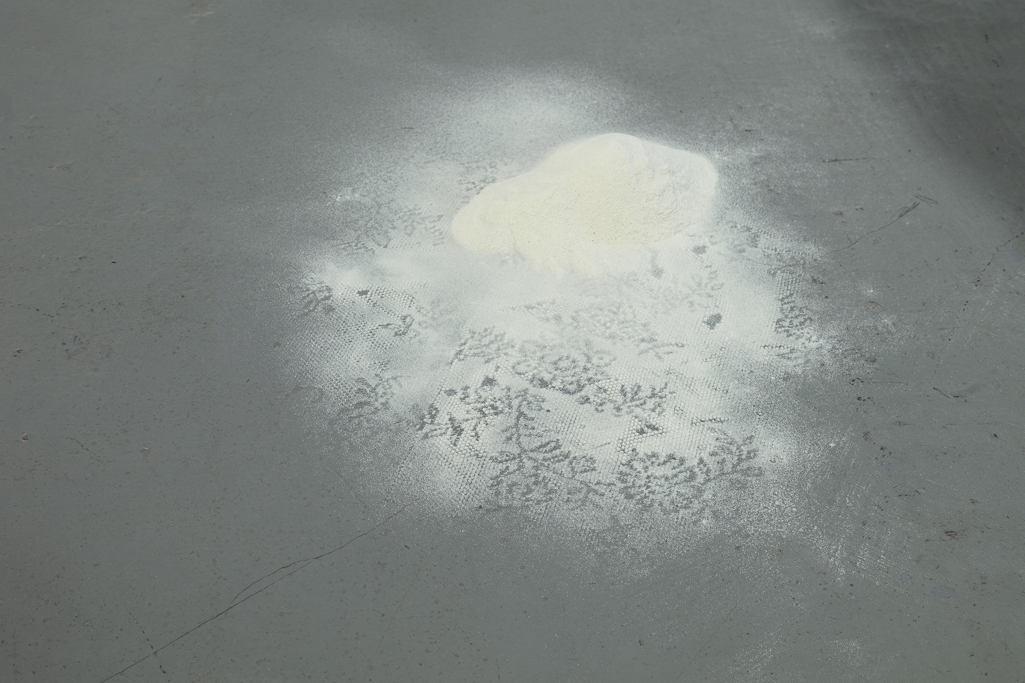 Forse, fabric, flour, 2023