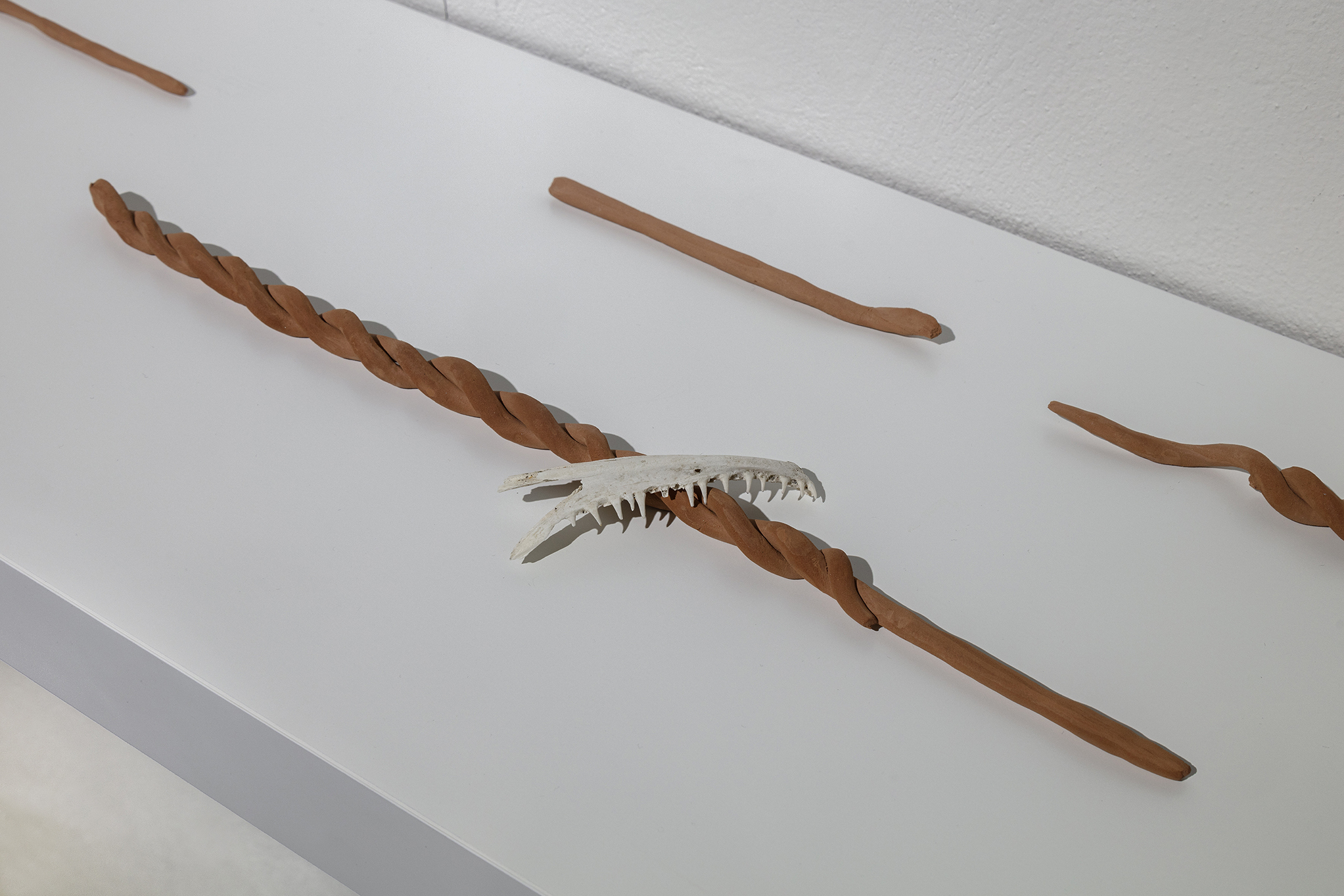 Bite my heart, terracotta clay and found bone, 2023