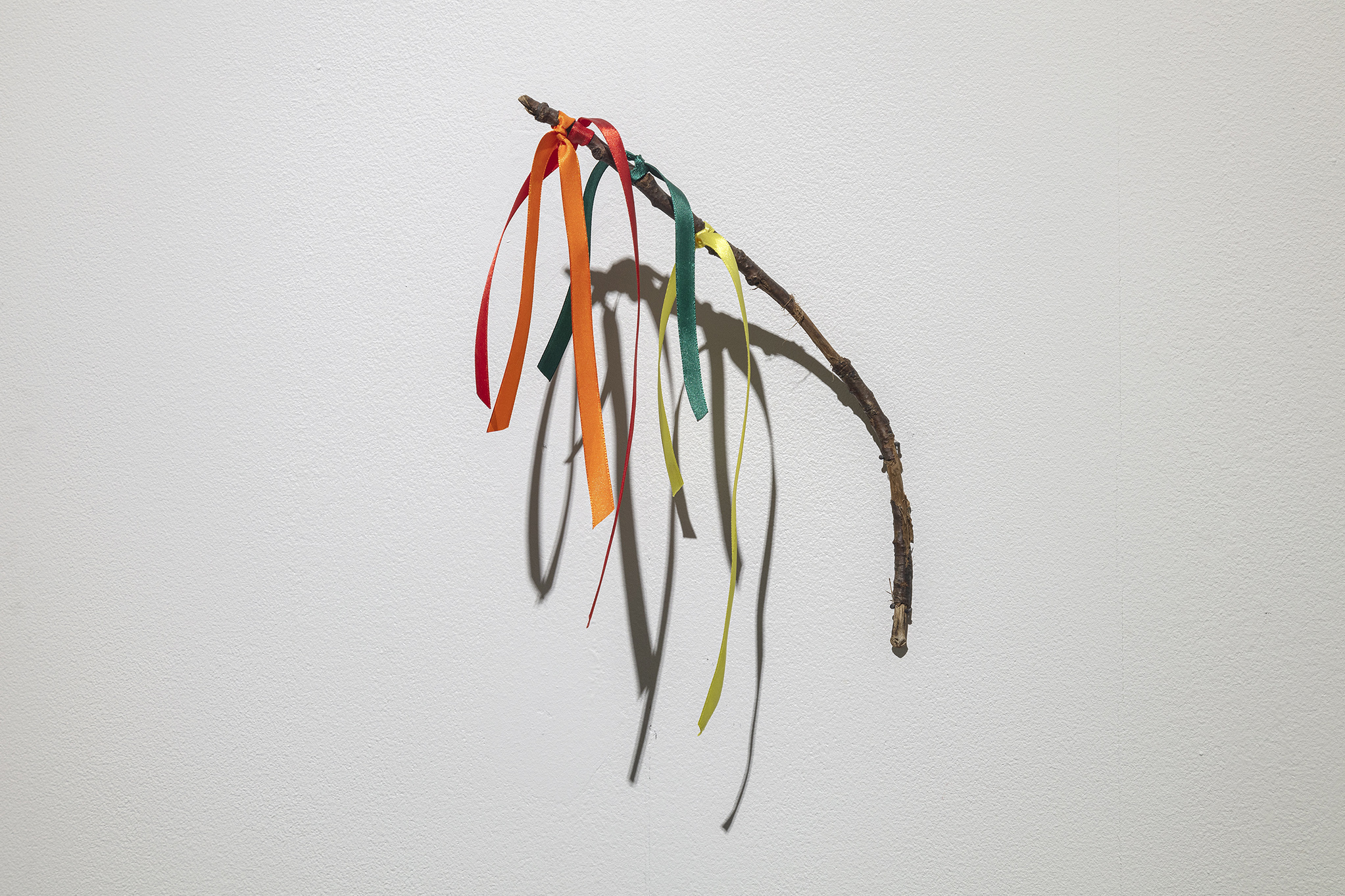 Più forte, wooden branch, ribbons, 2023
