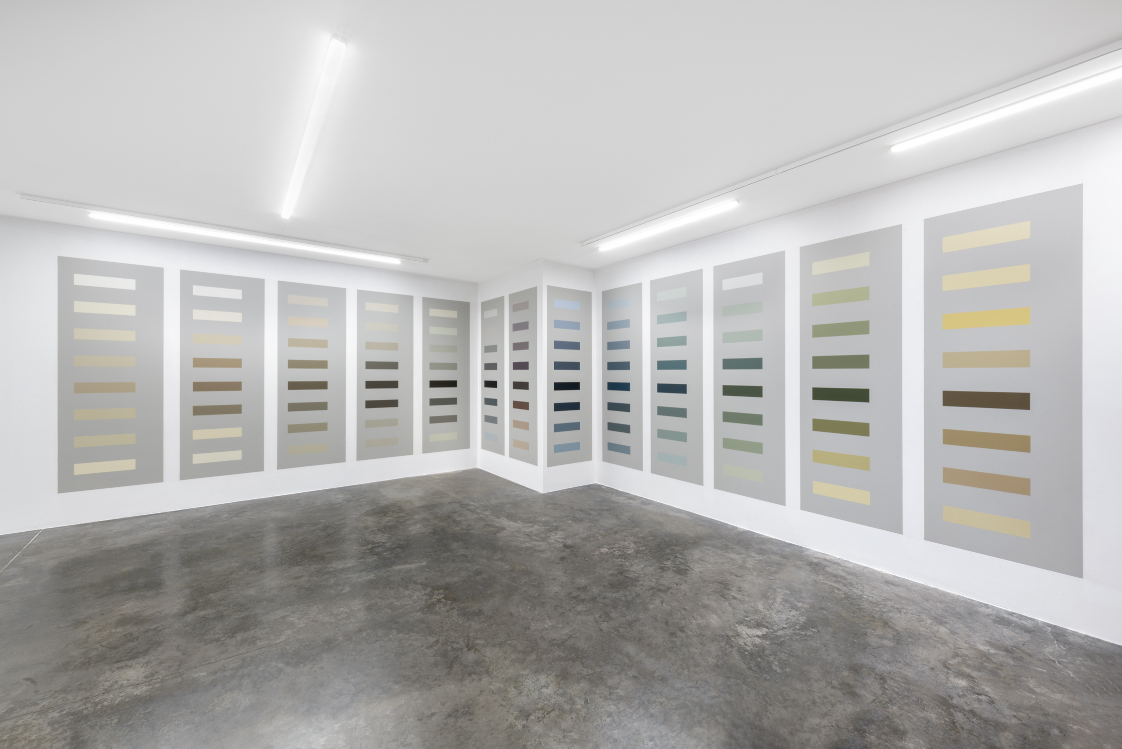 Yağız Özgen, Painter, B.1 Custom design interior paint with polyvinyl acetate essence applied on the wall, 1.726 x 276 cm