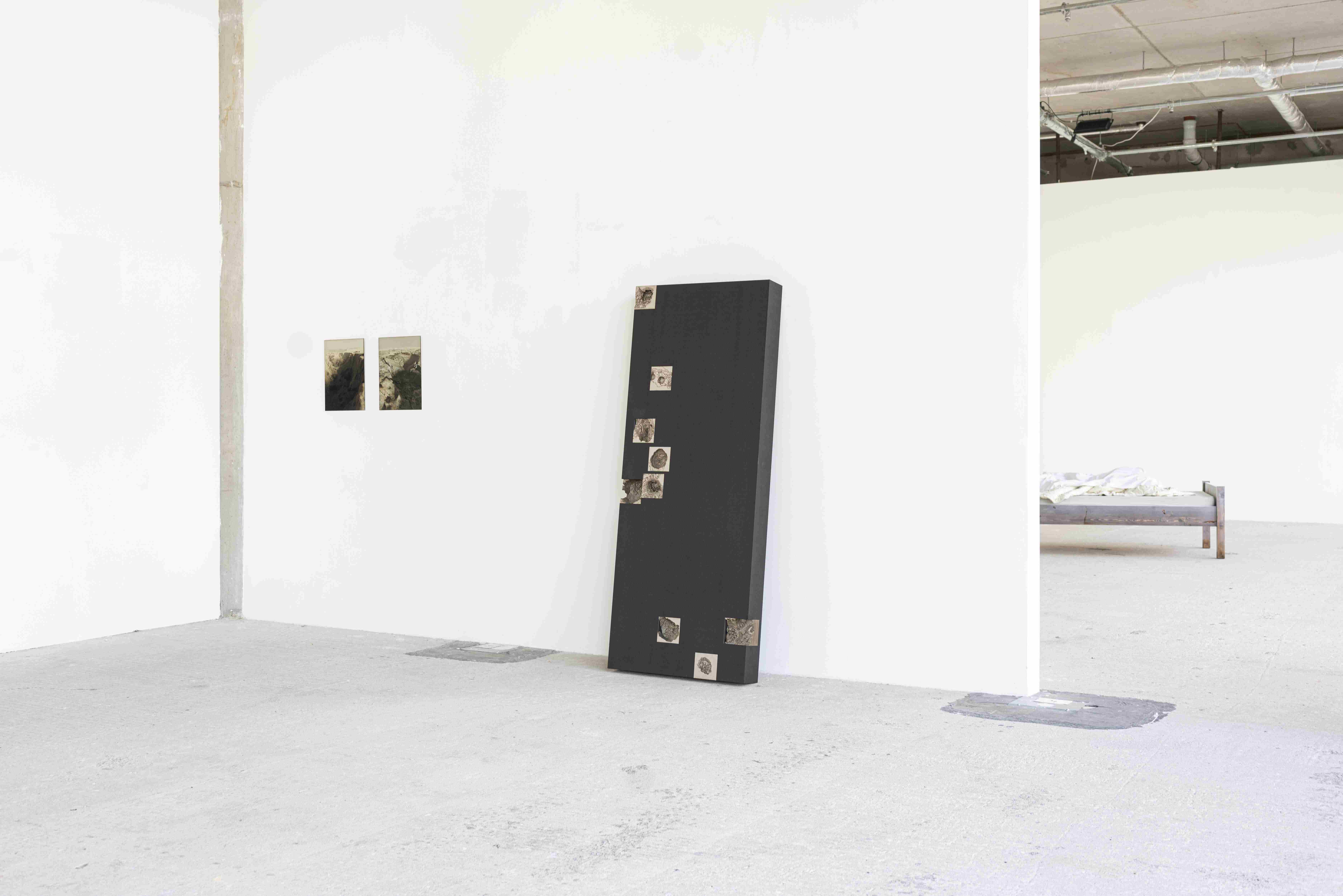 Installation view.