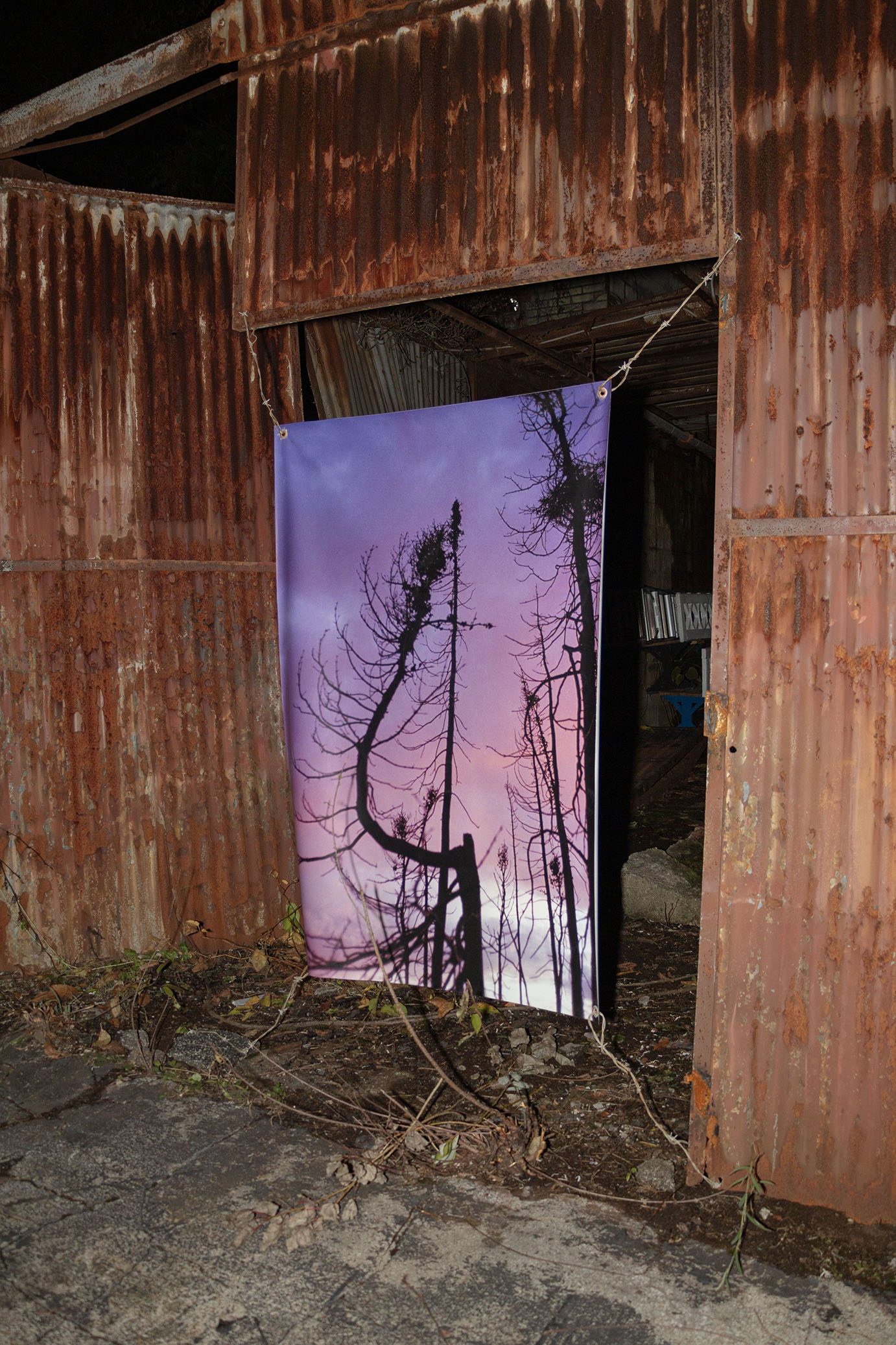 Justin Apperley, twisted again, 2023, Inkjet Print on Vinyl, Barbed Wire, 40x60 in