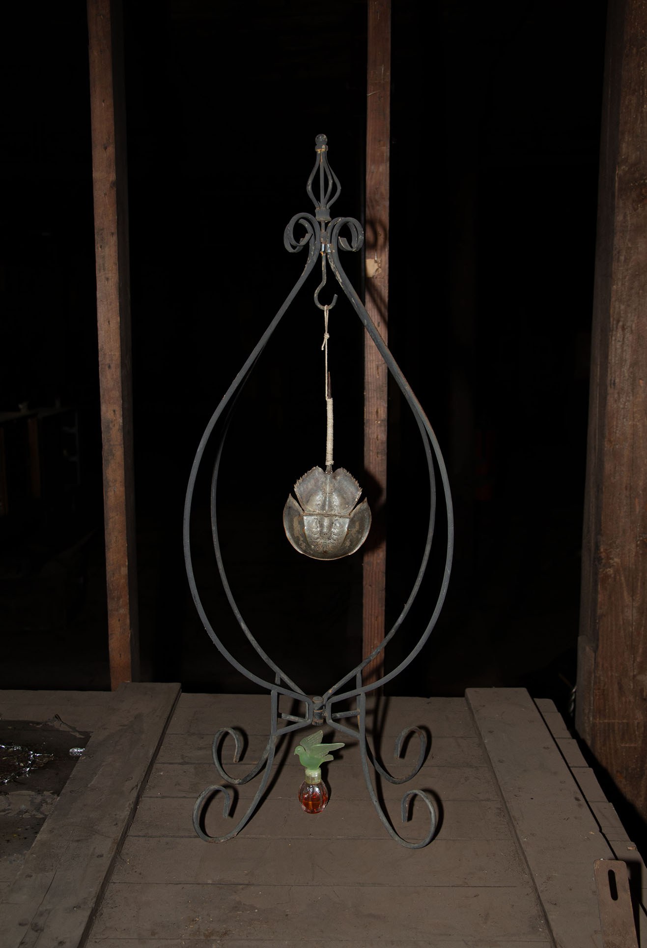 Cléo Sjölander, bleeding creature, 2023, horseshoe crab, cotton twine, antique perfume bottle, metal, 31x16x16in