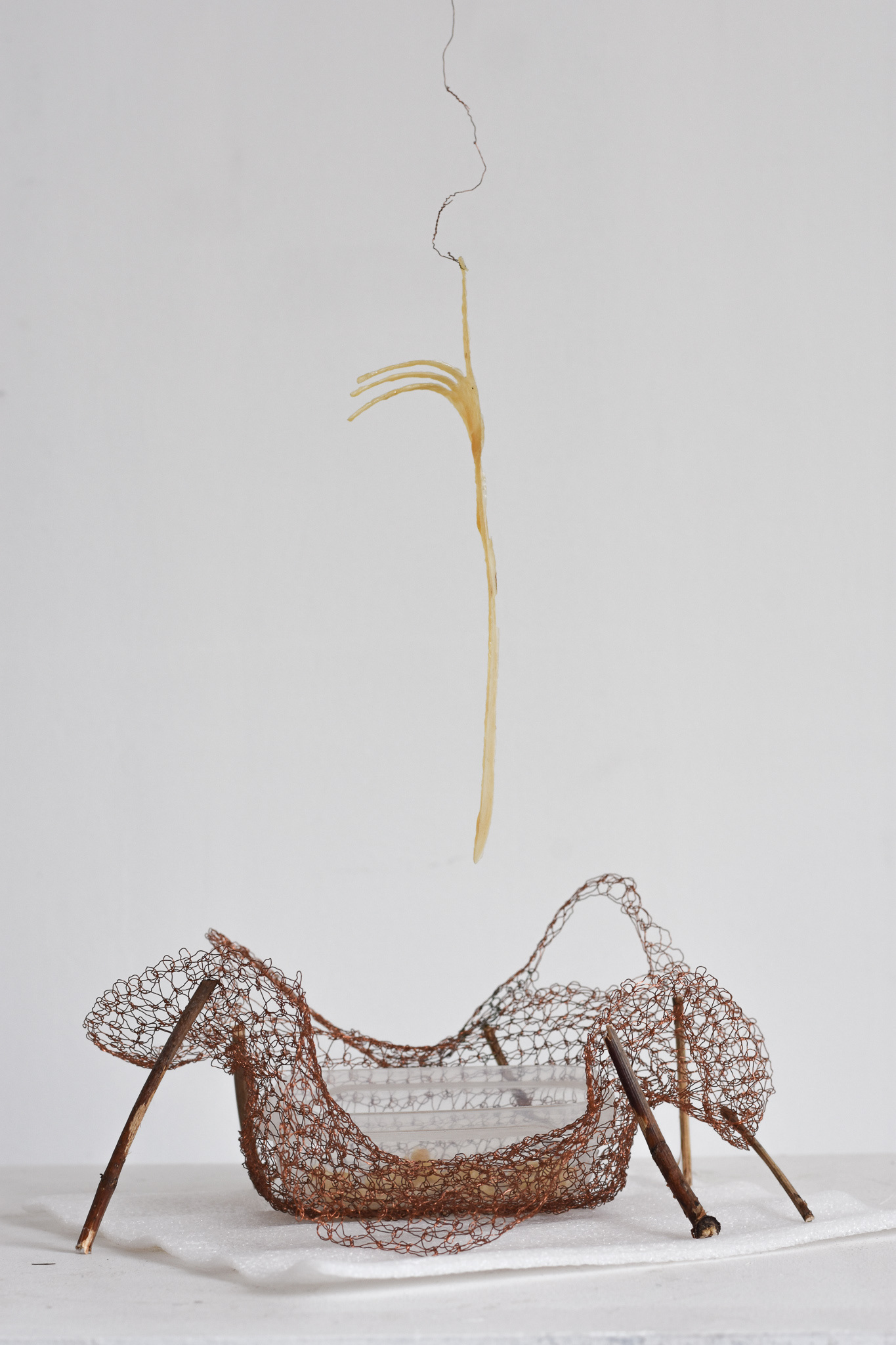 Title: 'Family Dinner'